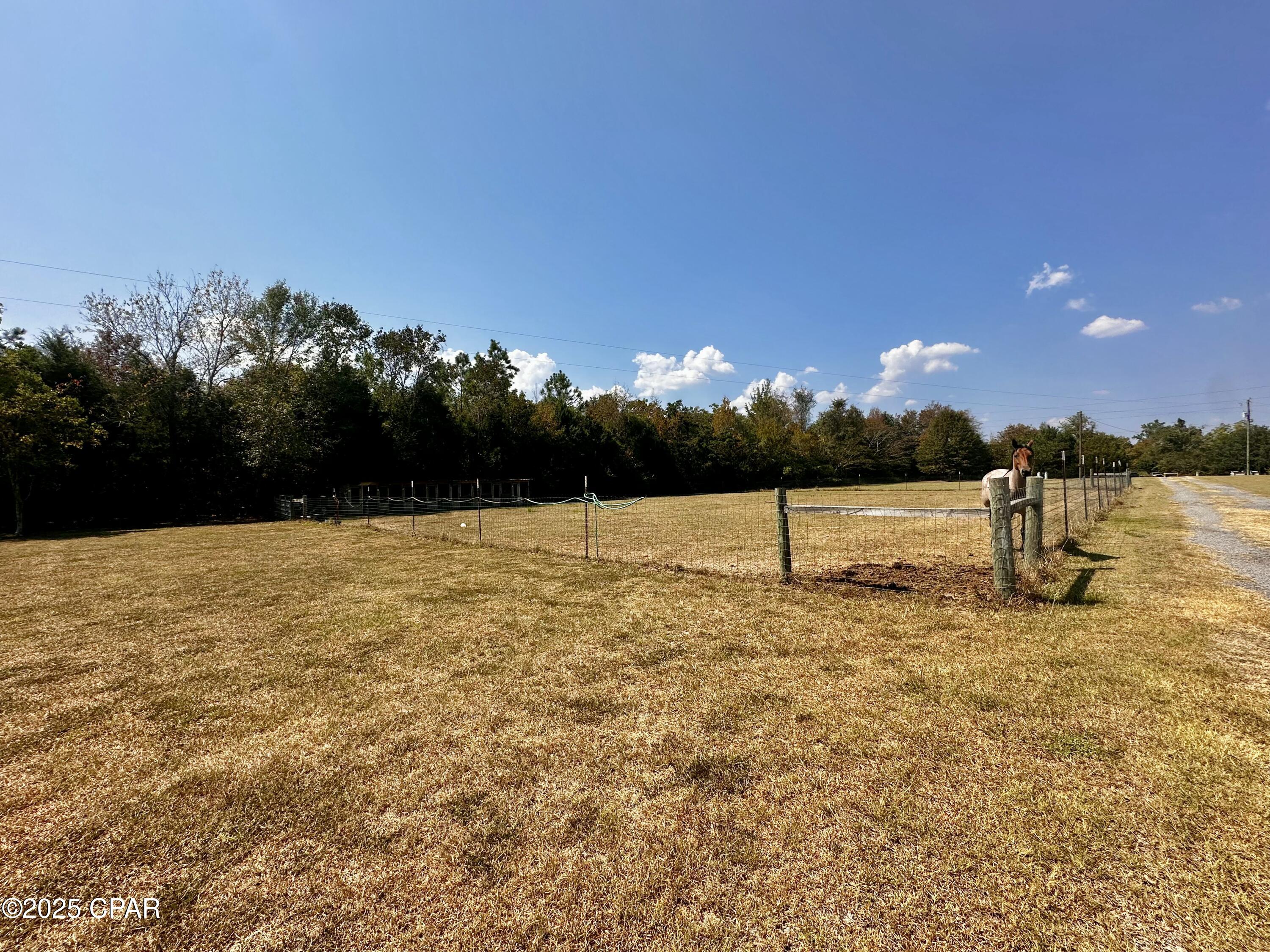 Image 12 For 2660 Highway 69