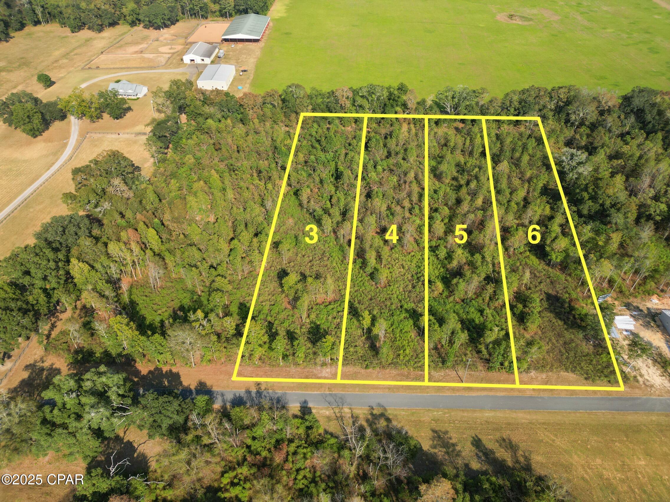 Details for Parcel 4 1st Avenue, Graceville, FL 32440