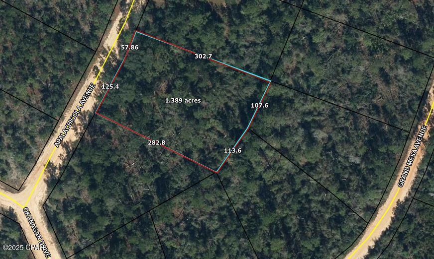 Image 3 For 000 Apalachicola Avenue