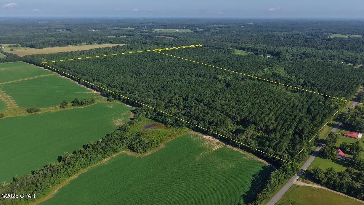 Details for 0 Co 147 Highway, Laurel Hill, FL 32567