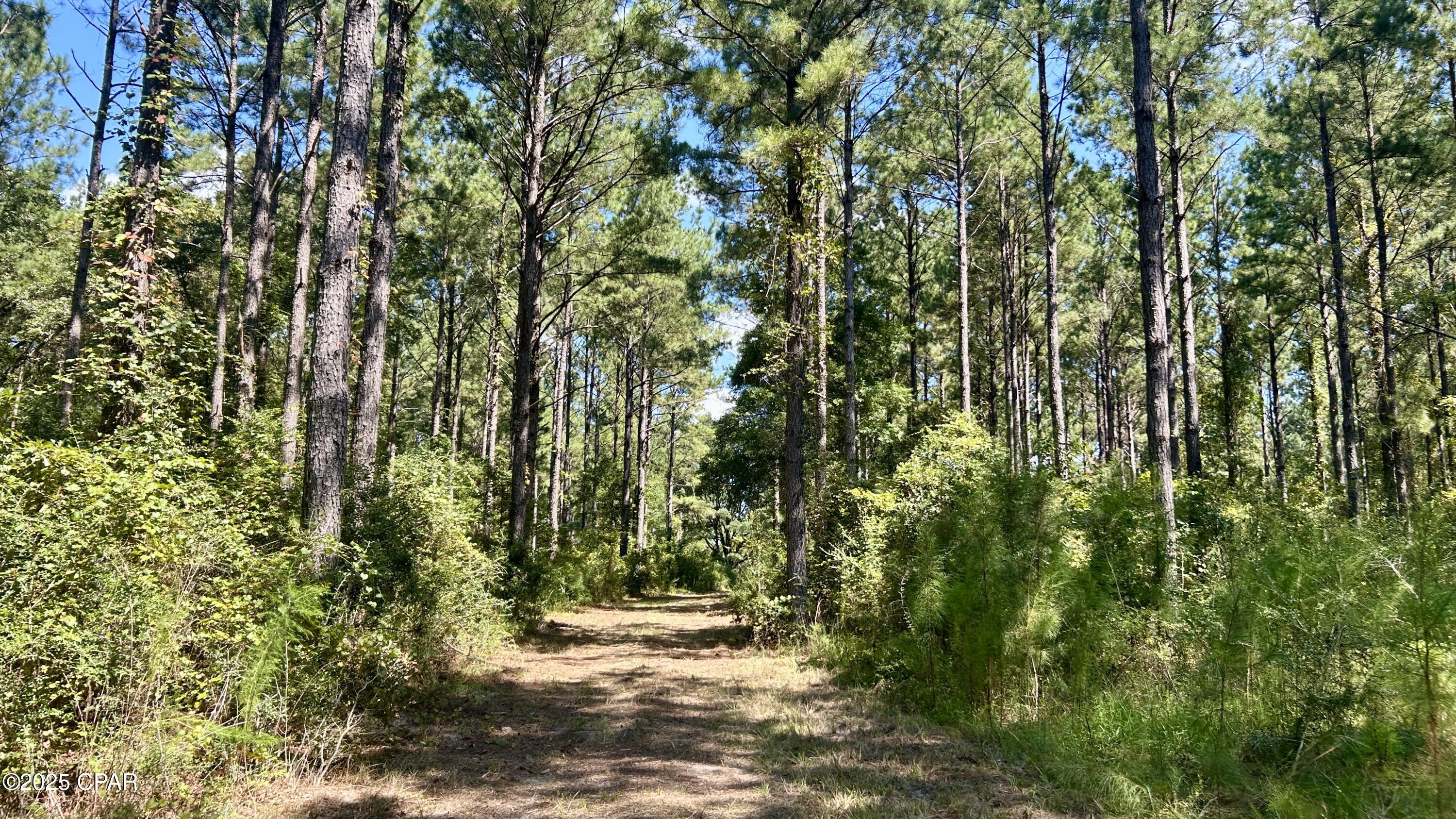 Image 10 For 0 Co 147 Highway