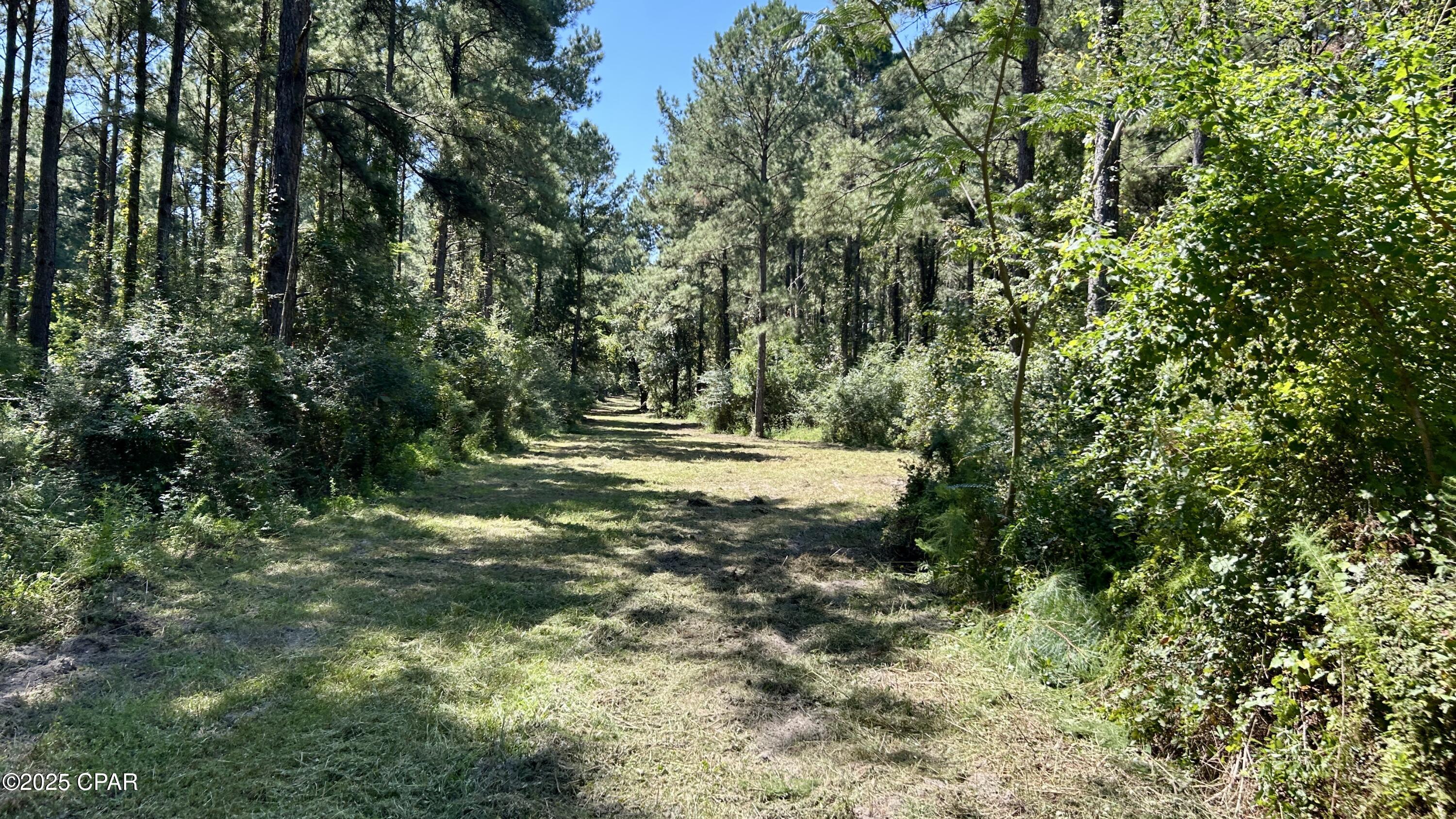 Image 11 For 0 Co 147 Highway