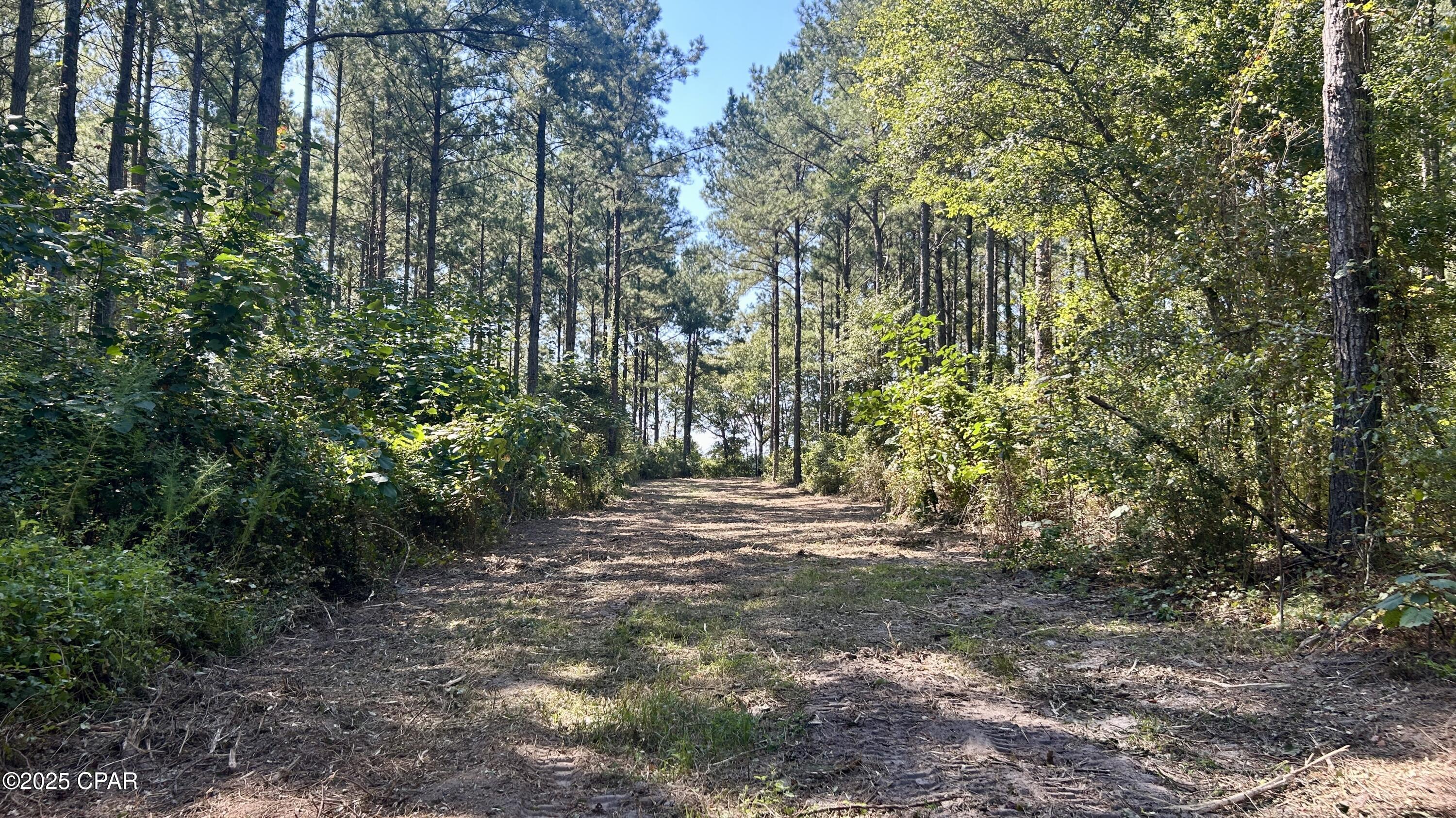 Image 12 For 0 Co 147 Highway