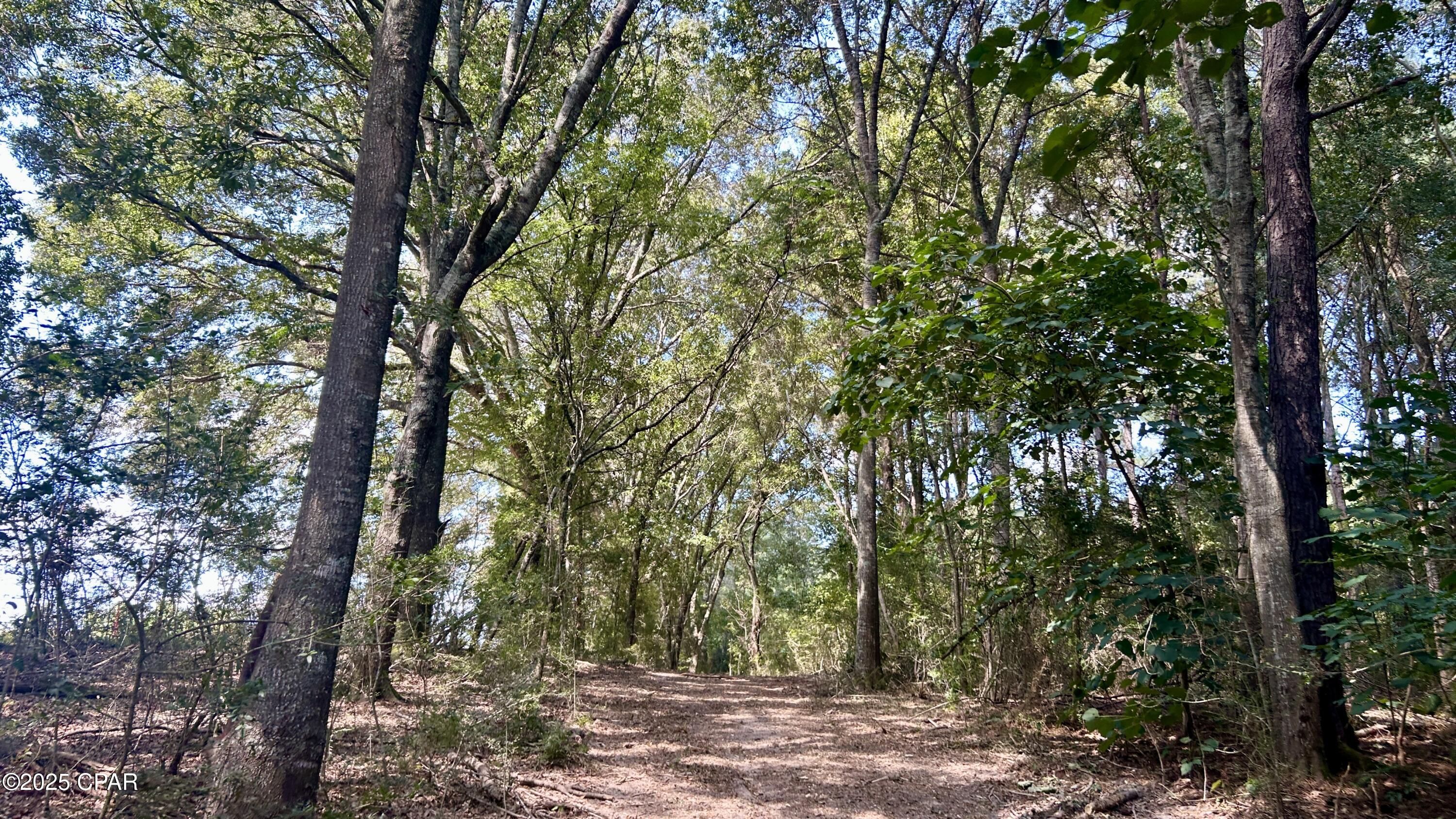 Image 13 For 0 Co 147 Highway