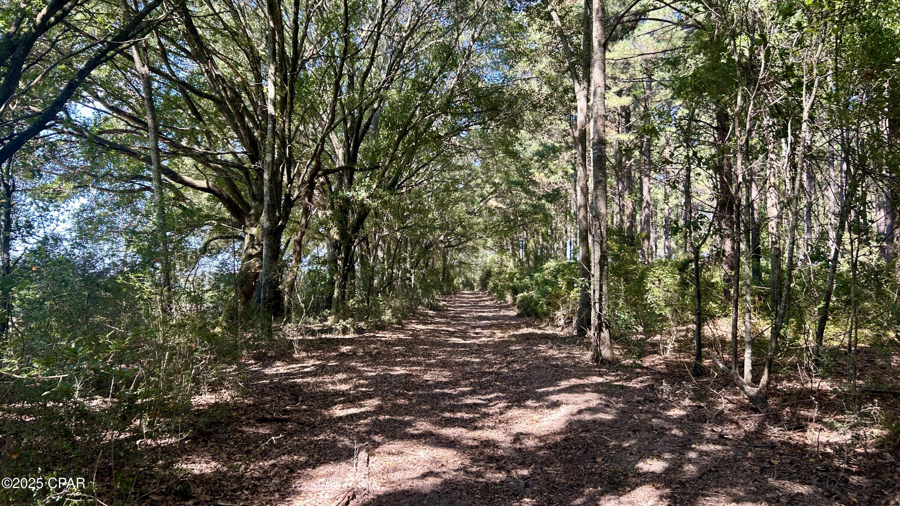 Image 14 For 0 Co 147 Highway