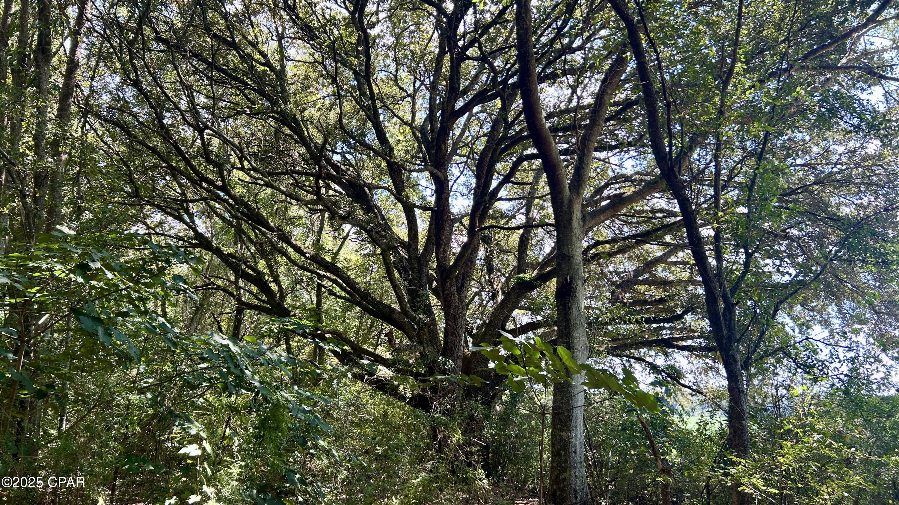 Image 15 For 0 Co 147 Highway