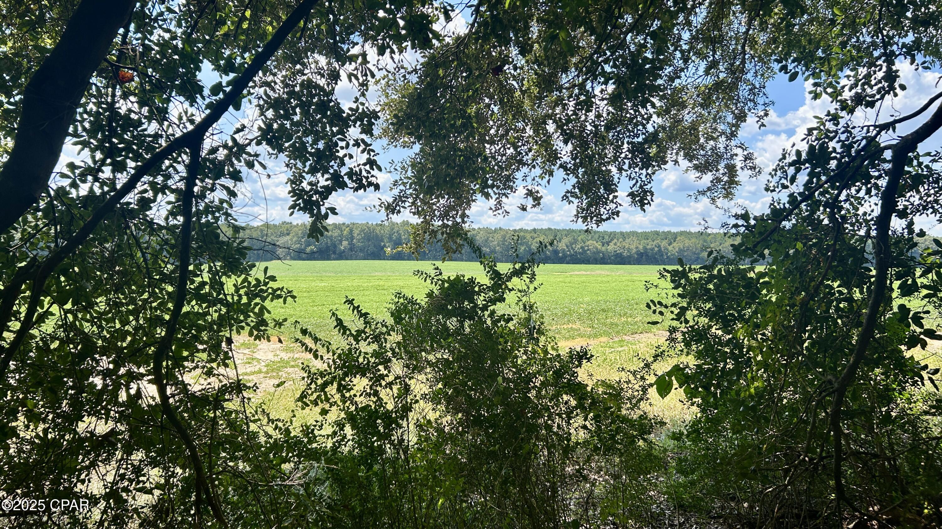 Image 16 For 0 Co 147 Highway