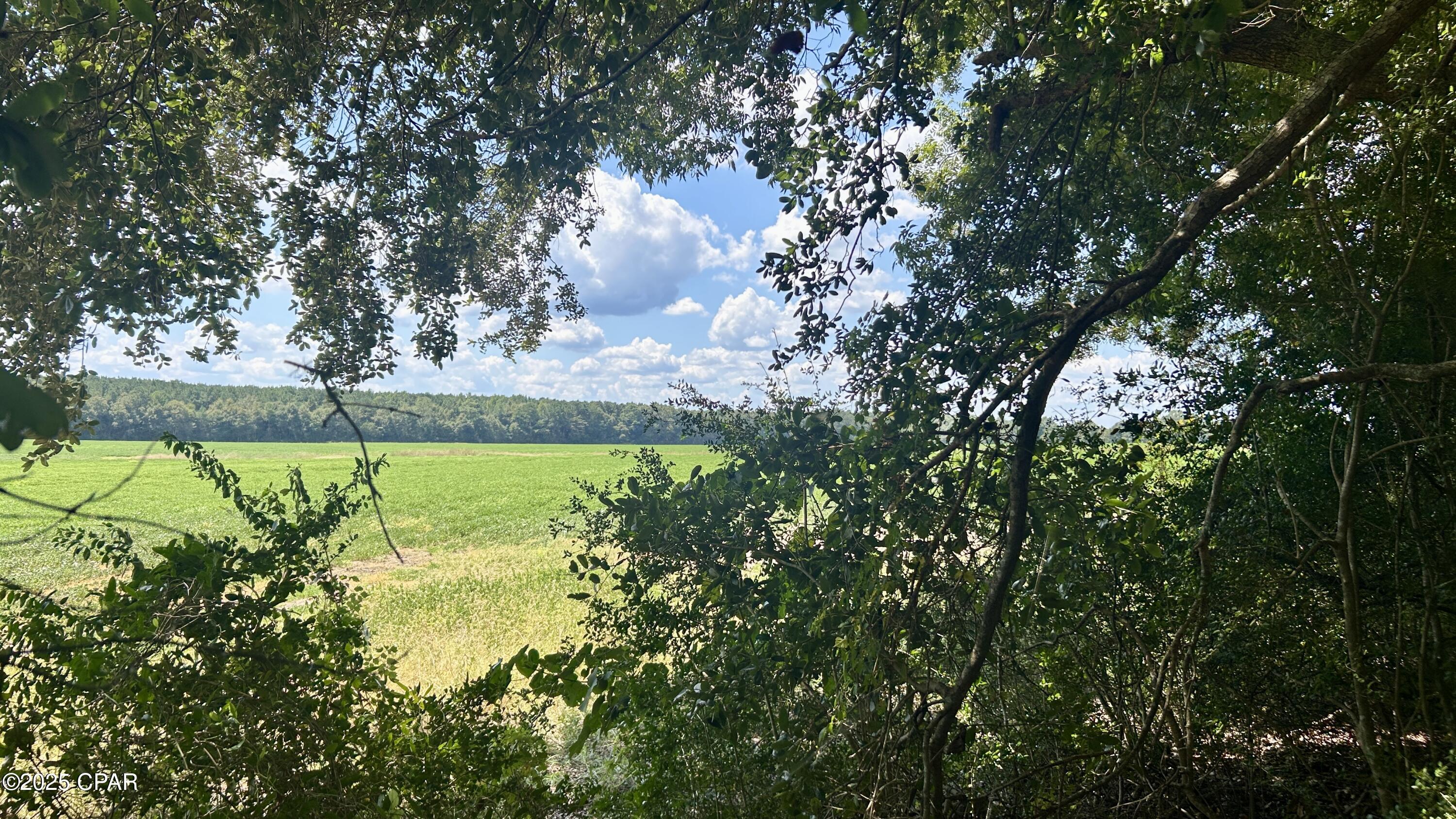 Image 17 For 0 Co 147 Highway