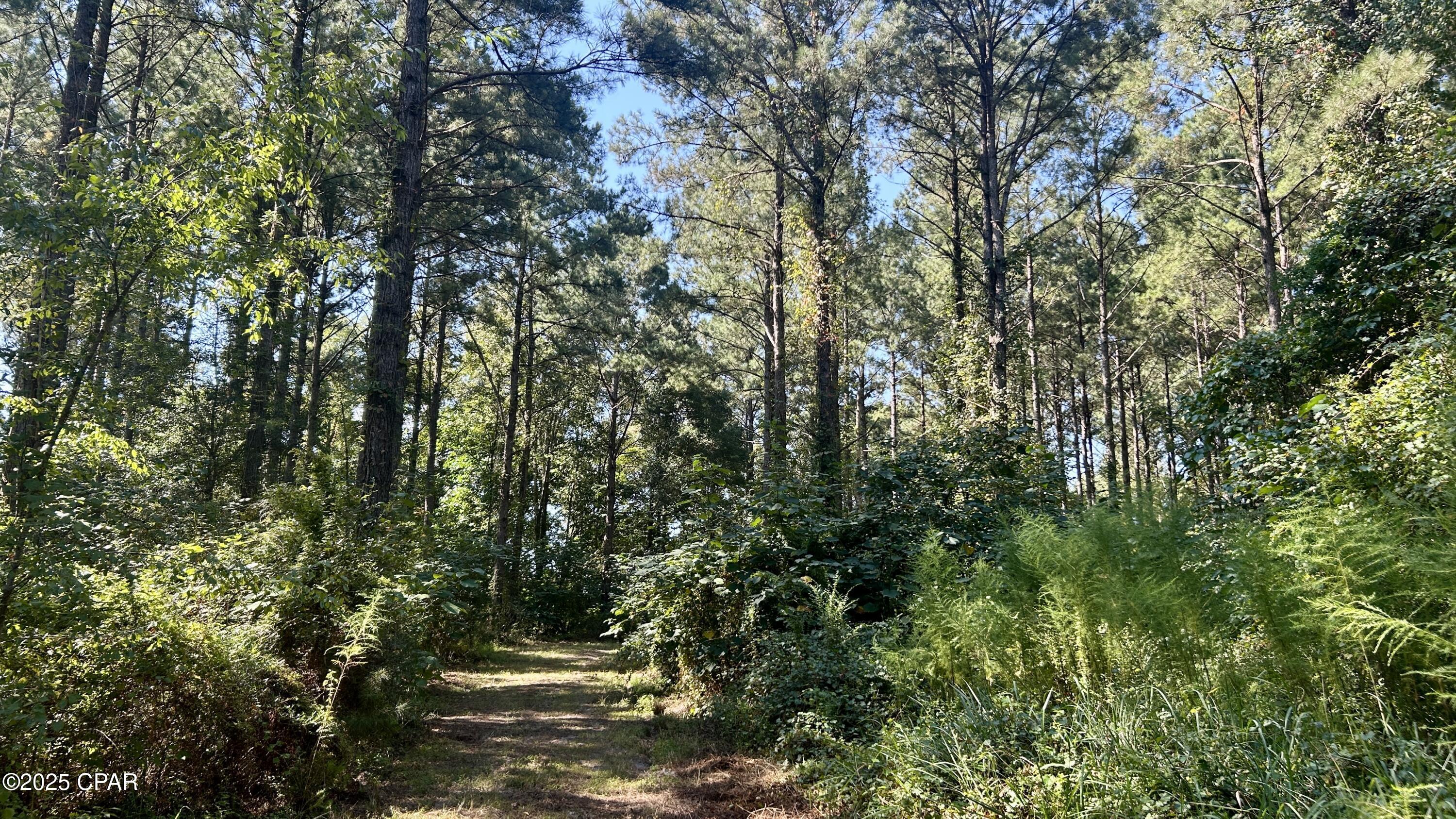 Image 18 For 0 Co 147 Highway