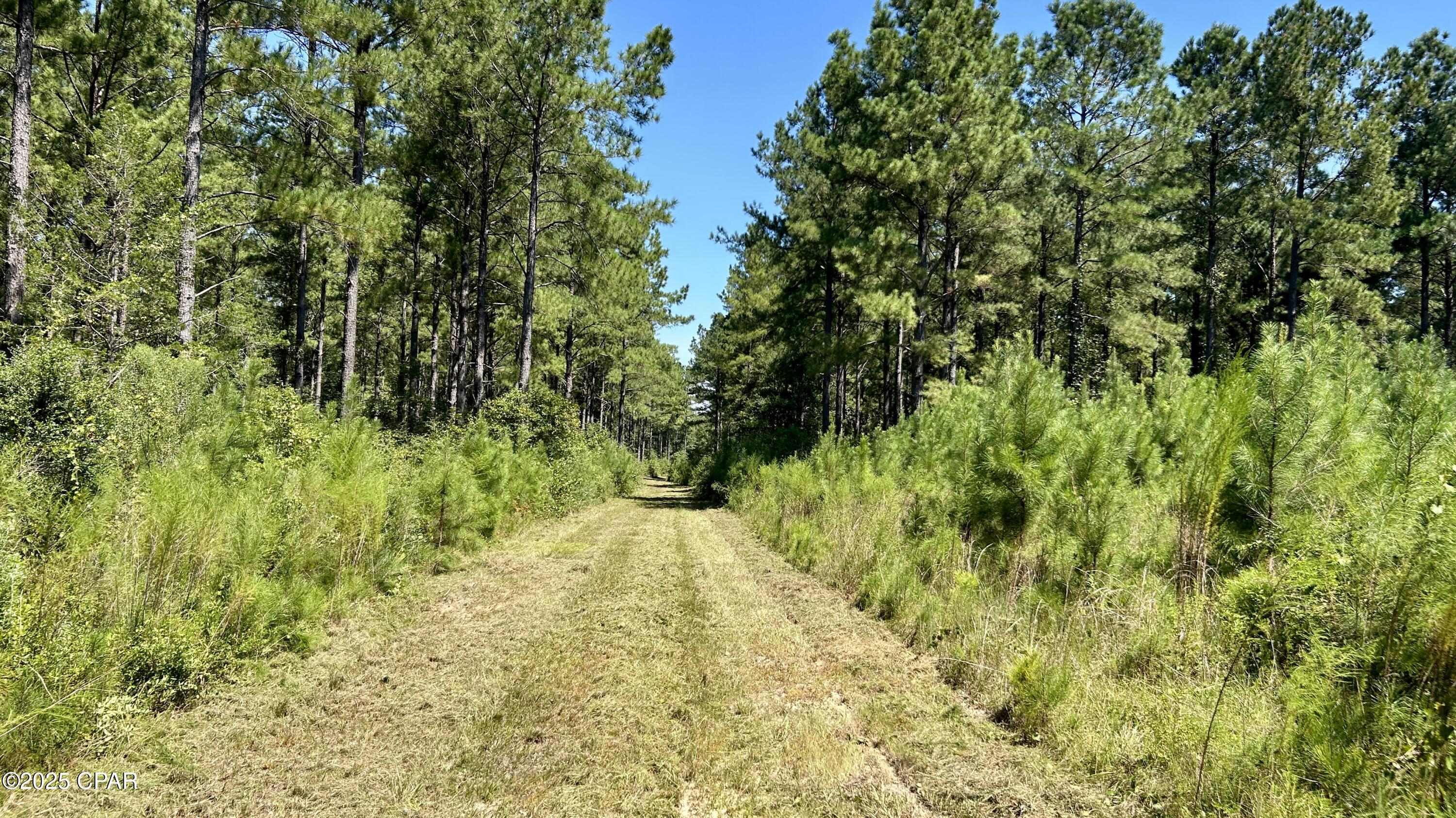 Image 19 For 0 Co 147 Highway