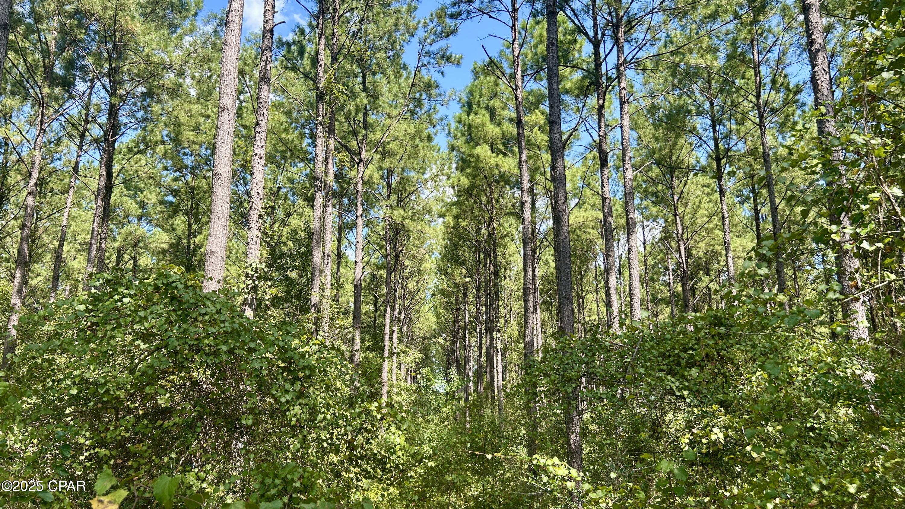 Image 20 For 0 Co 147 Highway