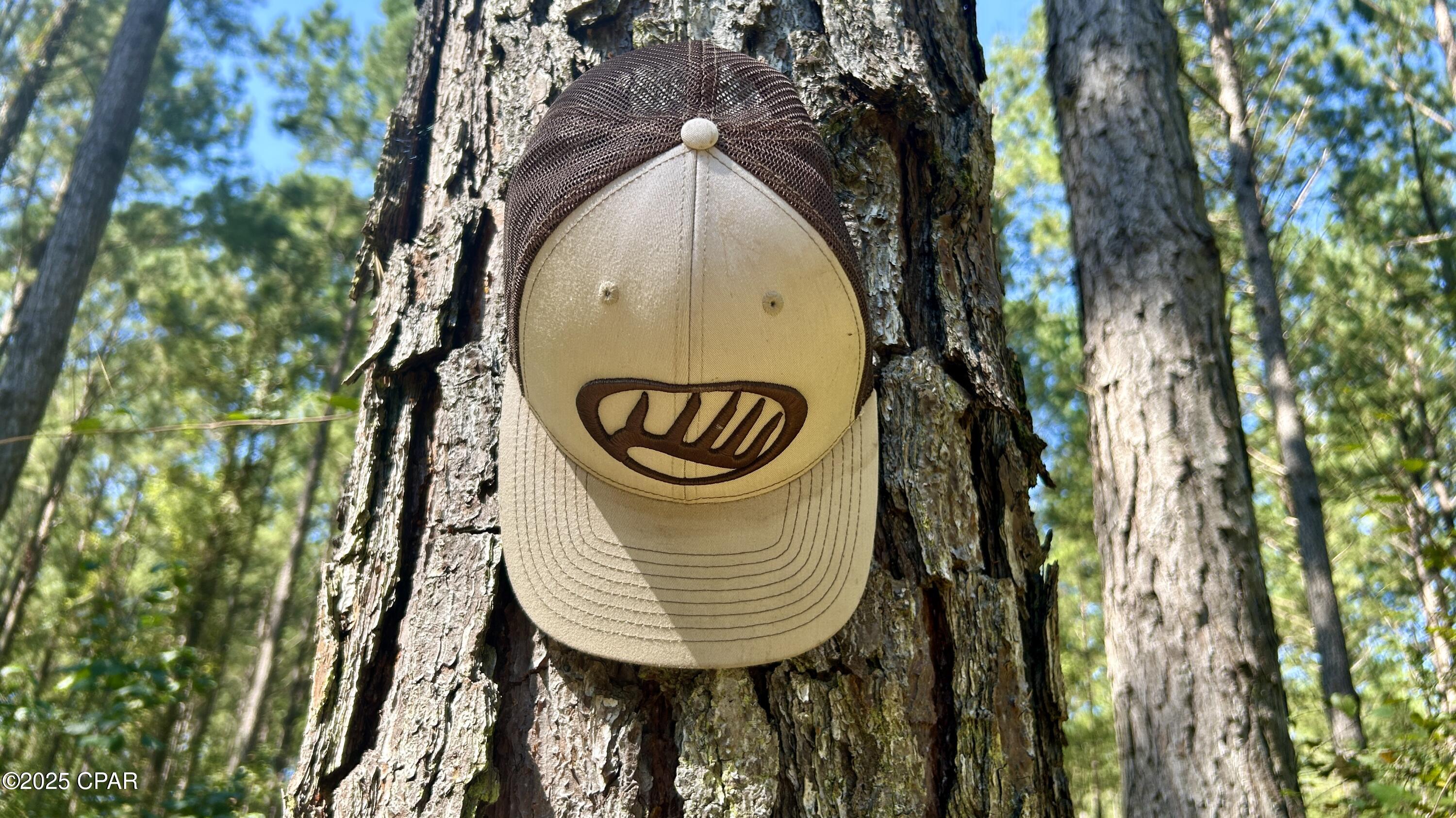 Image 21 For 0 Co 147 Highway