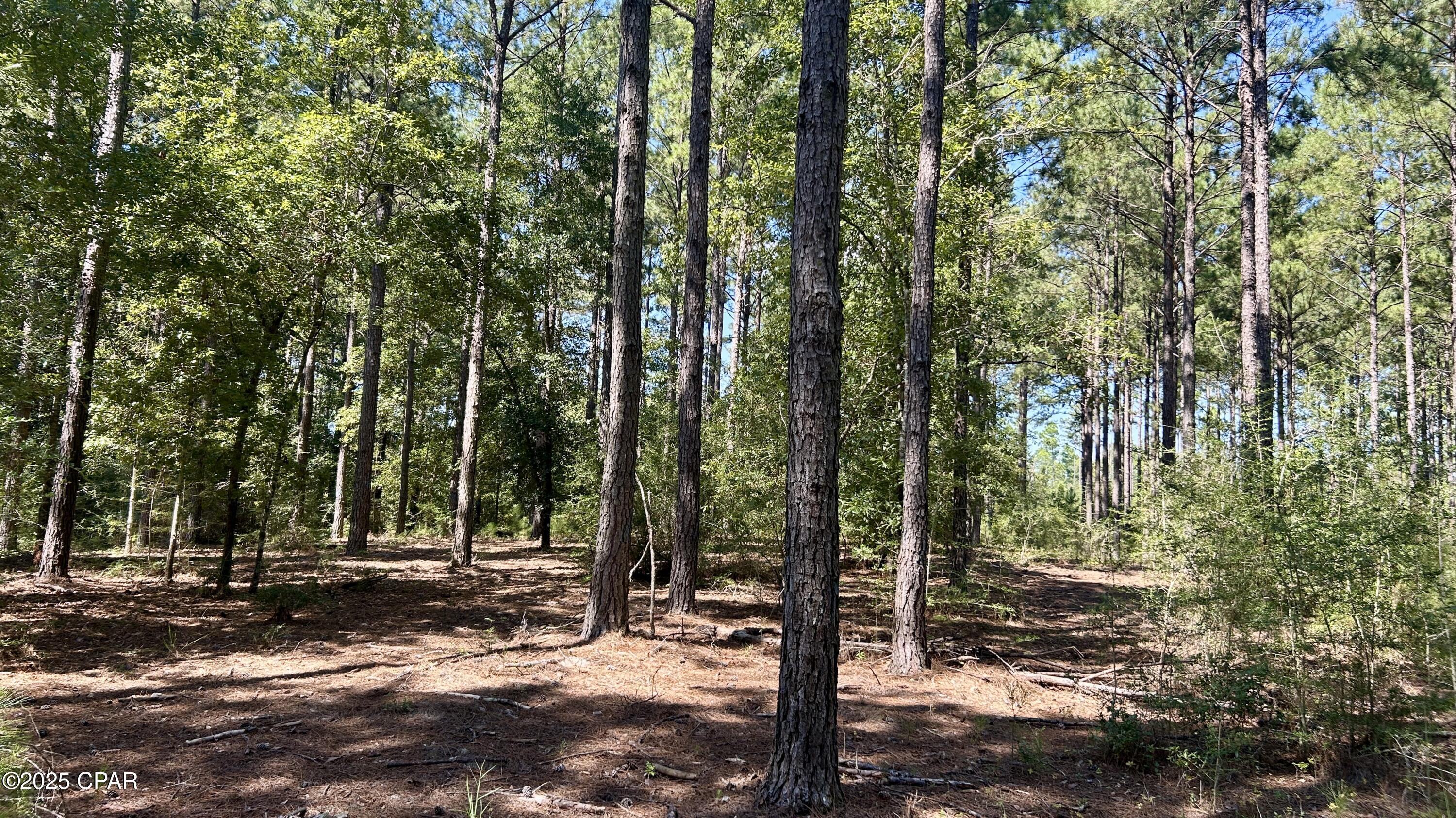 Image 22 For 0 Co 147 Highway