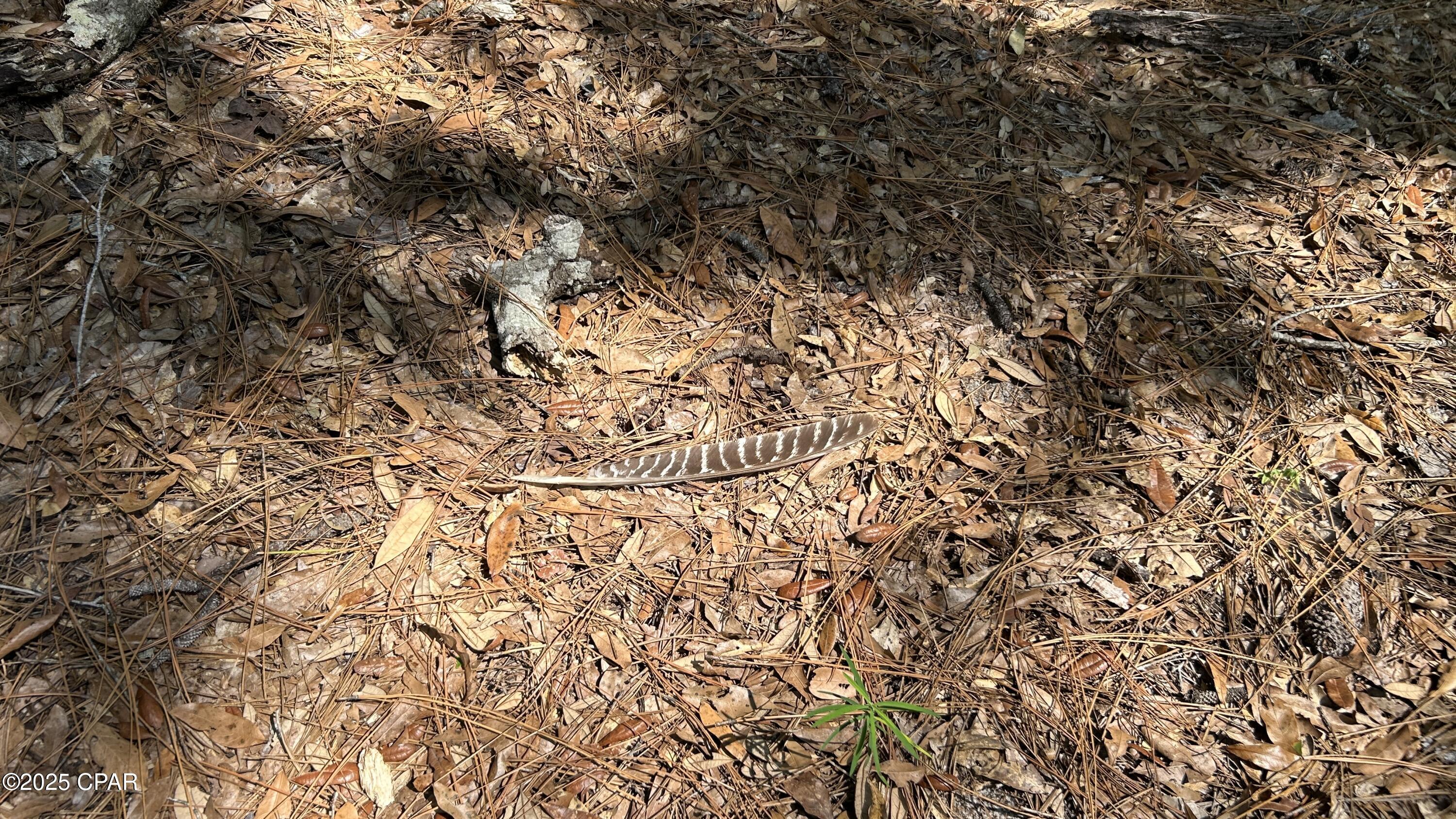 Image 23 For 0 Co 147 Highway