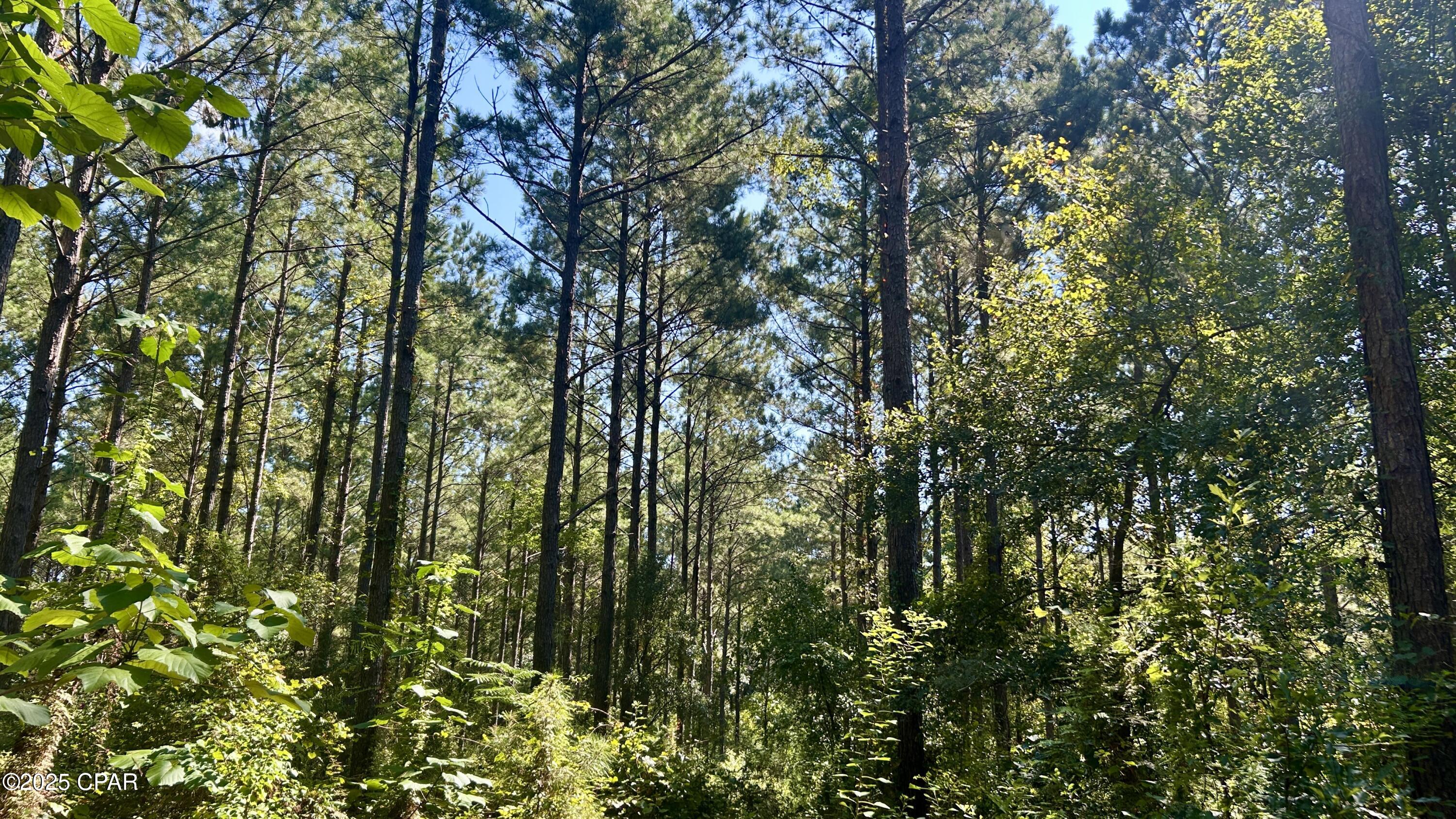 Image 24 For 0 Co 147 Highway