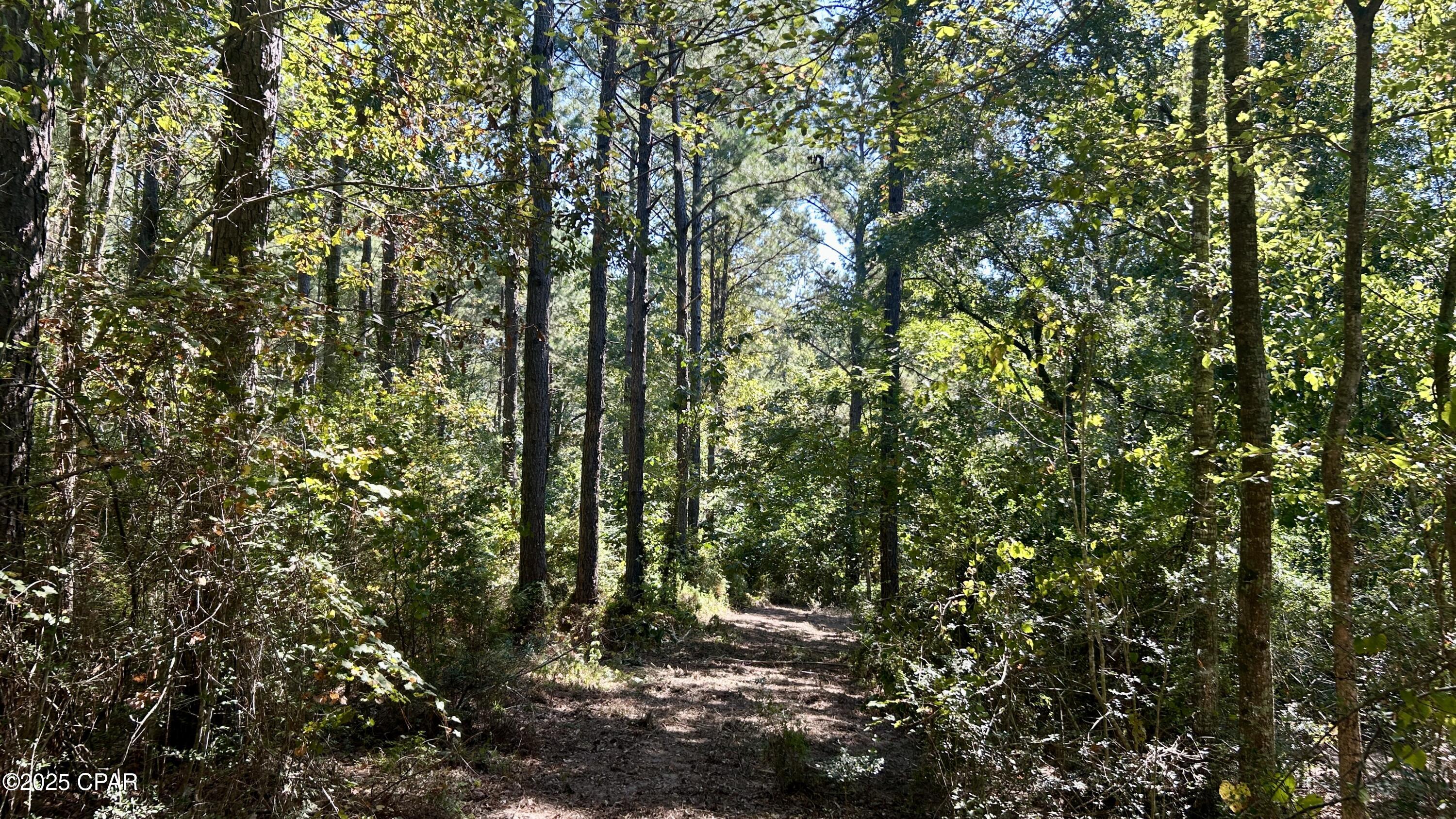 Image 25 For 0 Co 147 Highway