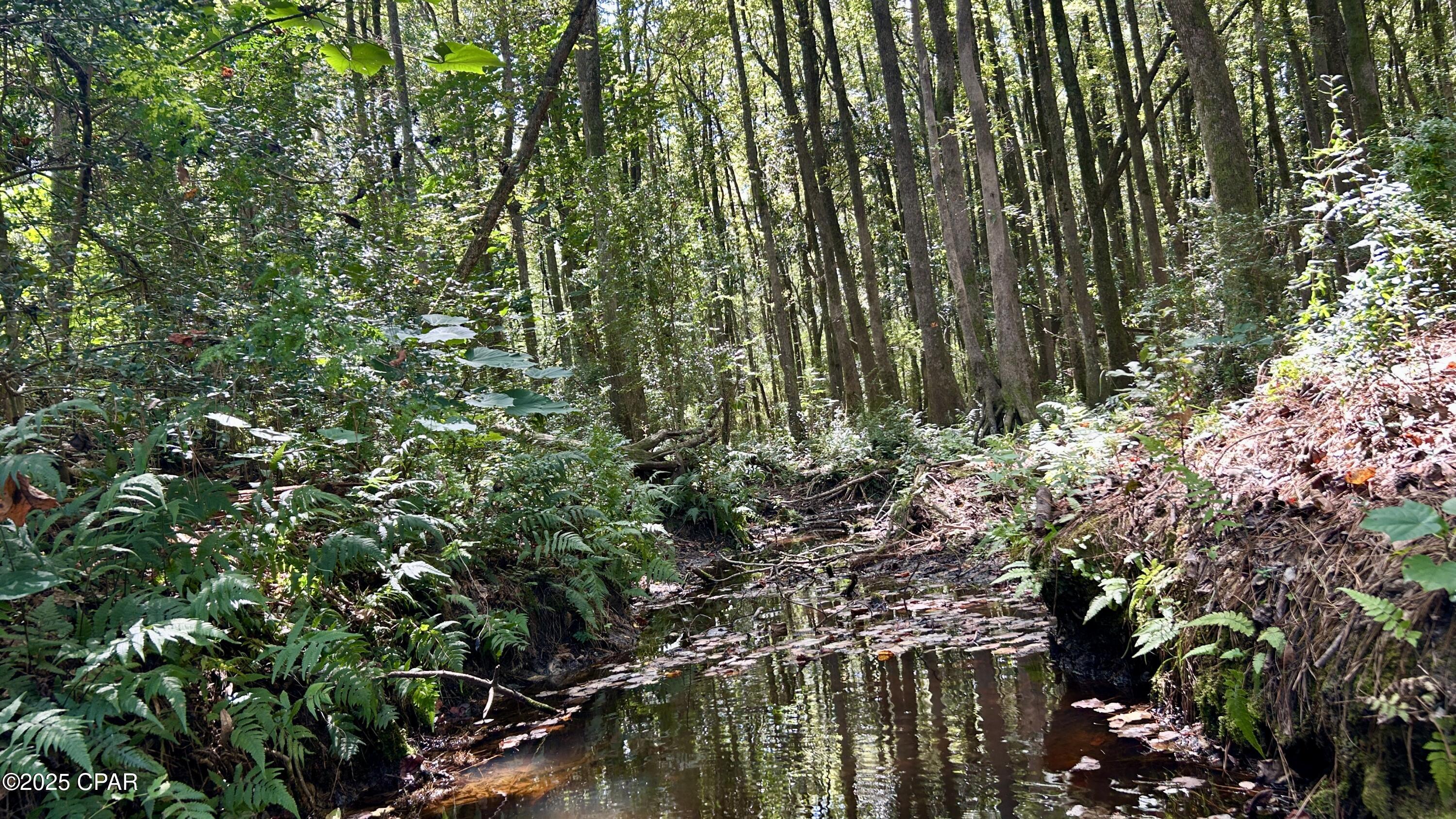 Image 26 For 0 Co 147 Highway