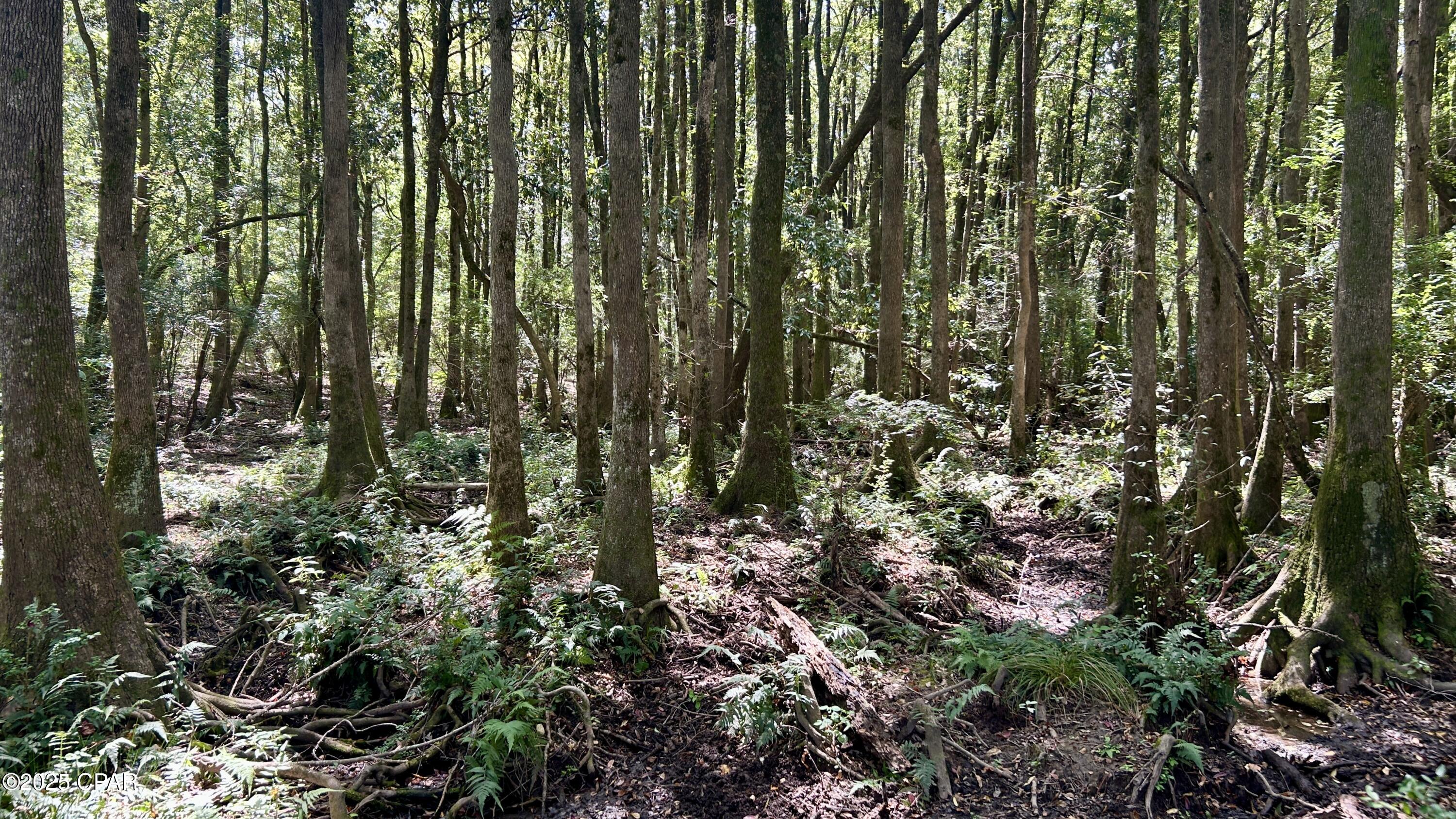 Image 27 For 0 Co 147 Highway