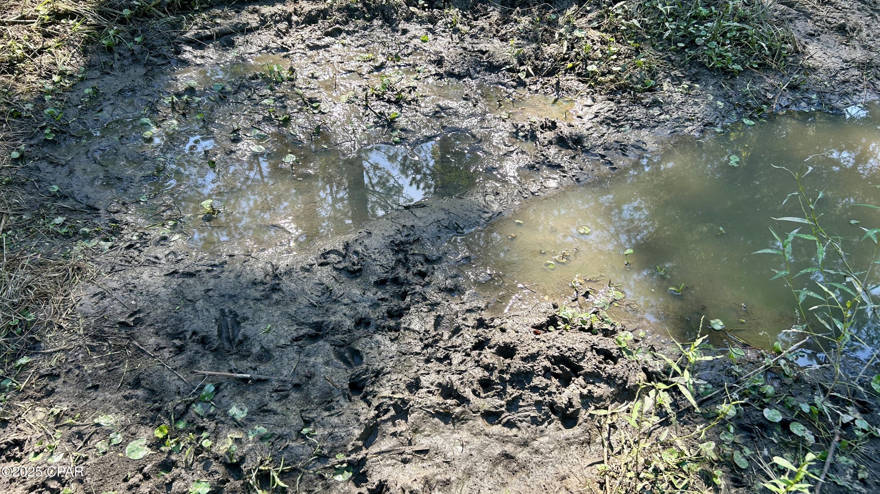 Image 28 For 0 Co 147 Highway