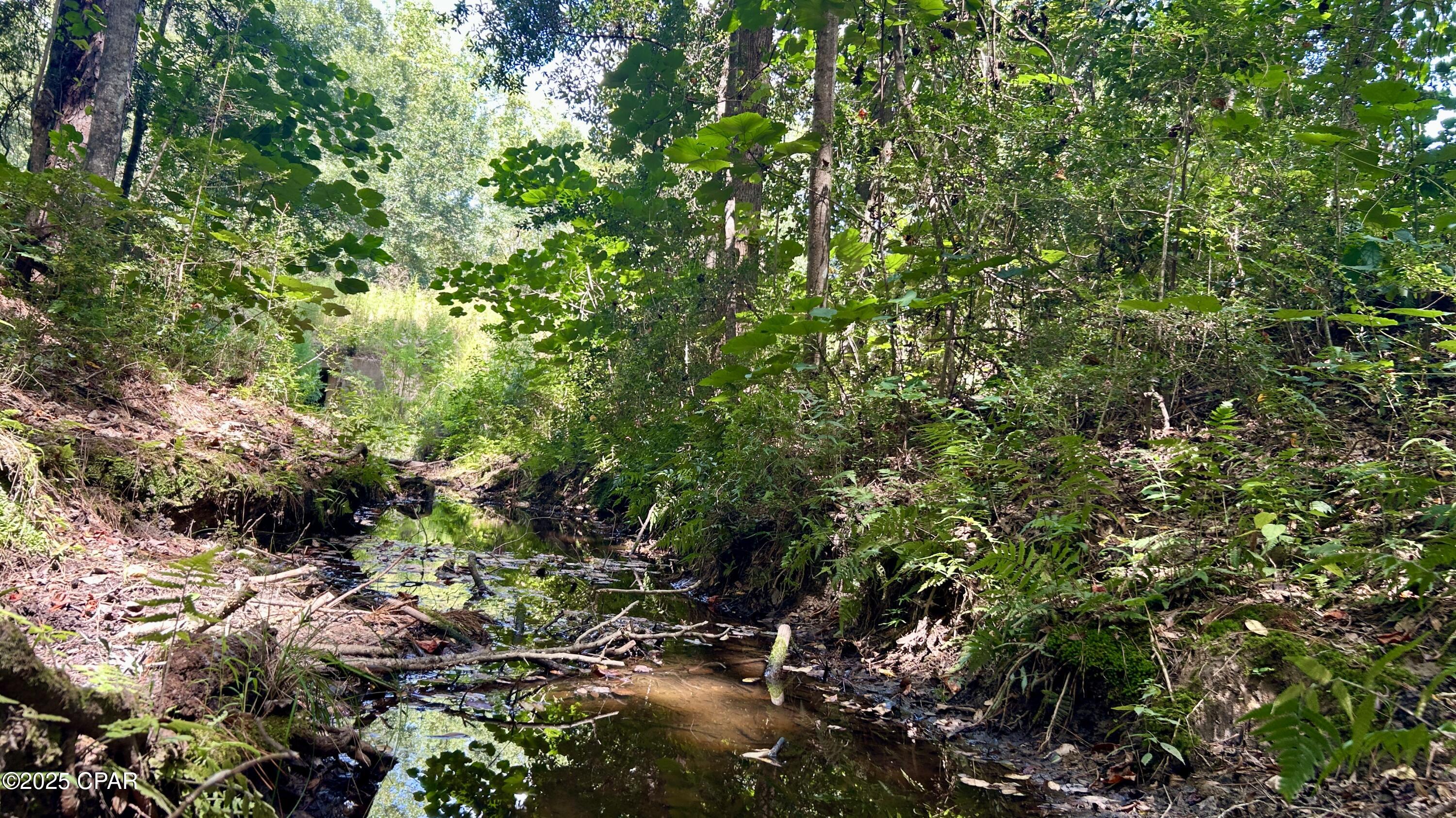 Image 29 For 0 Co 147 Highway