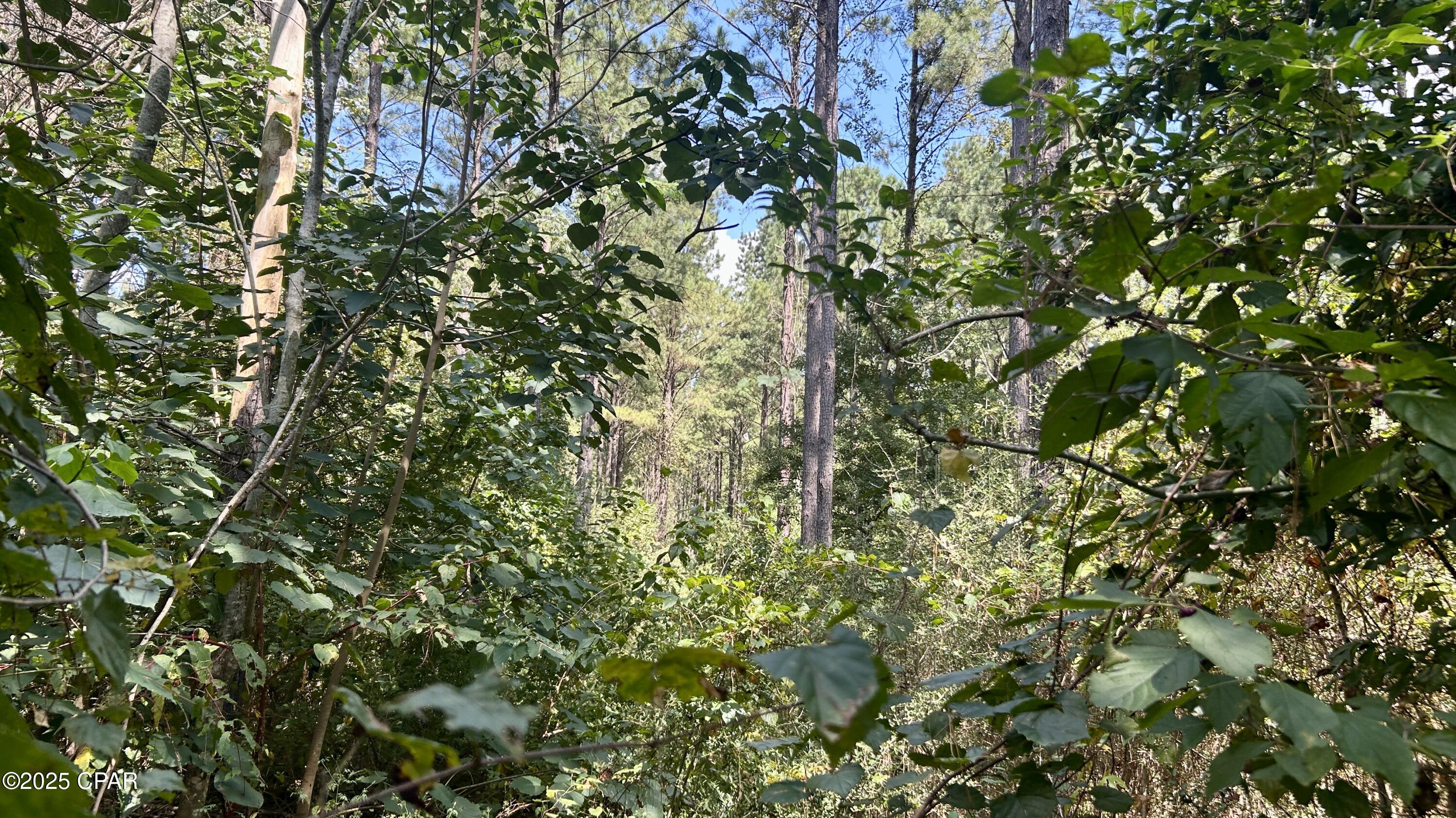 Image 30 For 0 Co 147 Highway