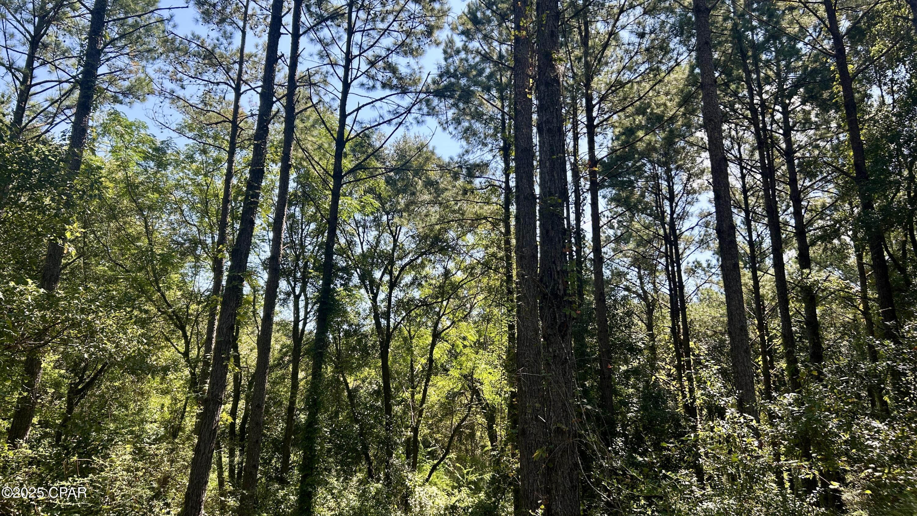 Image 31 For 0 Co 147 Highway