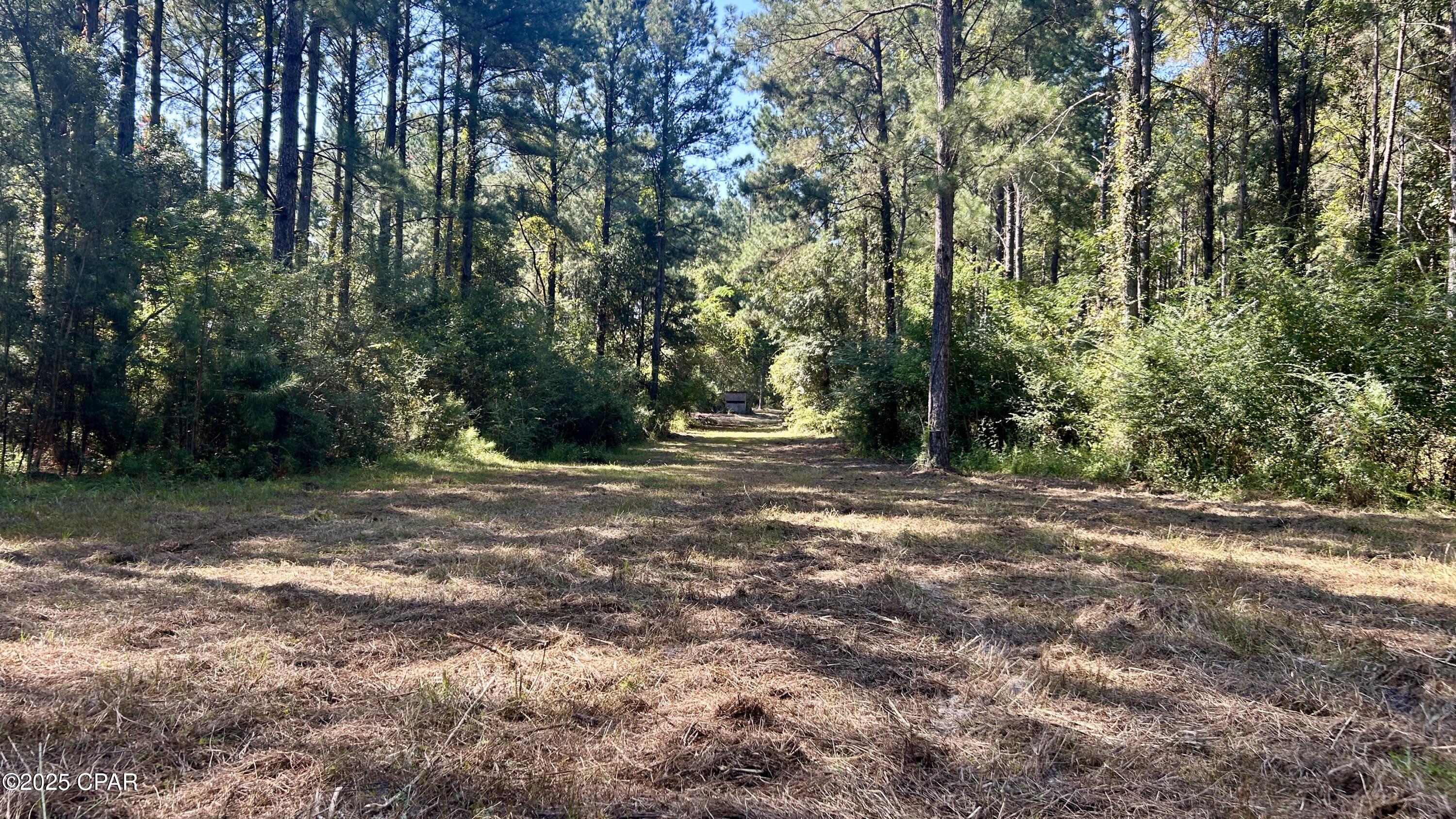 Image 32 For 0 Co 147 Highway