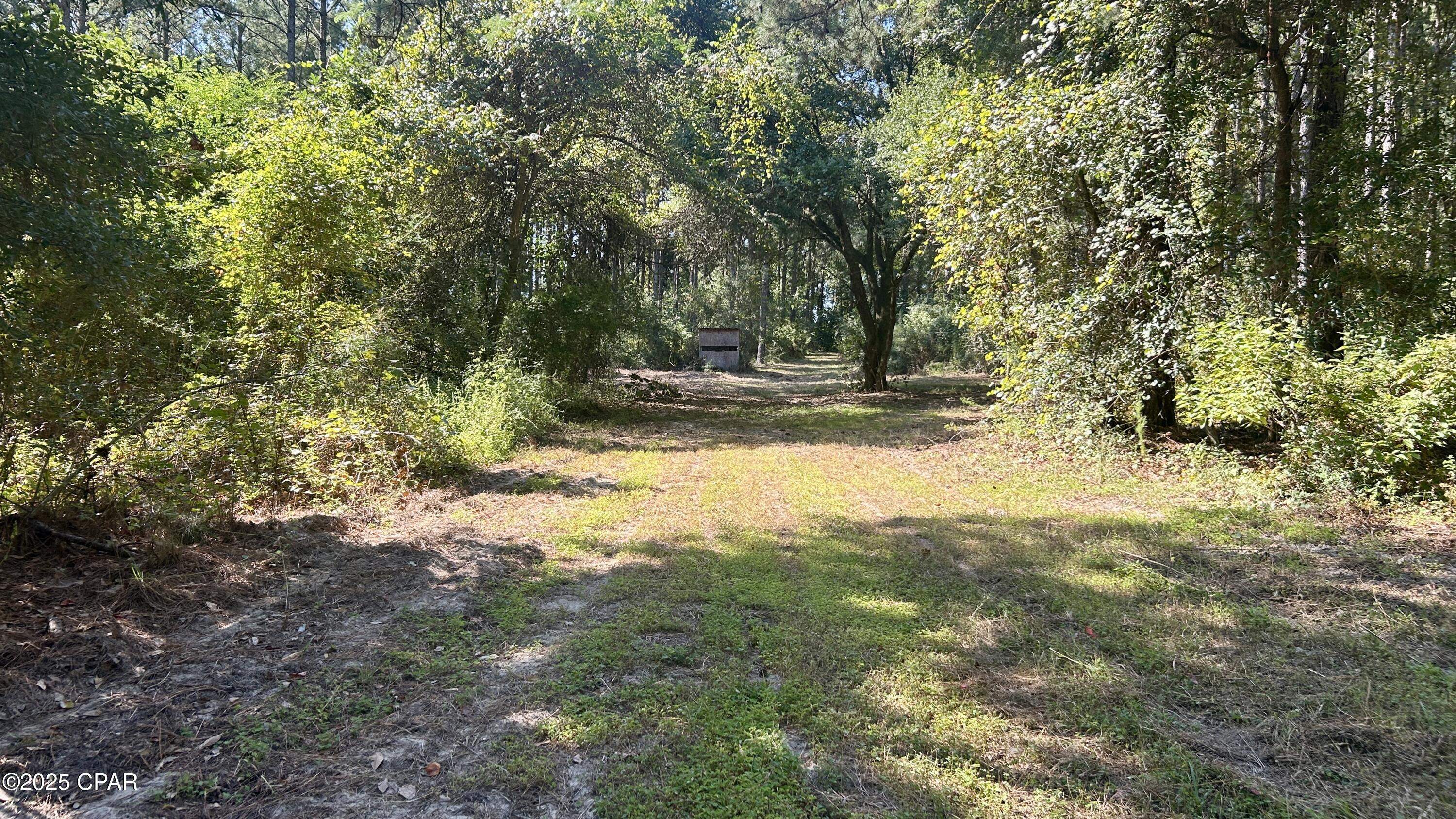 Image 33 For 0 Co 147 Highway