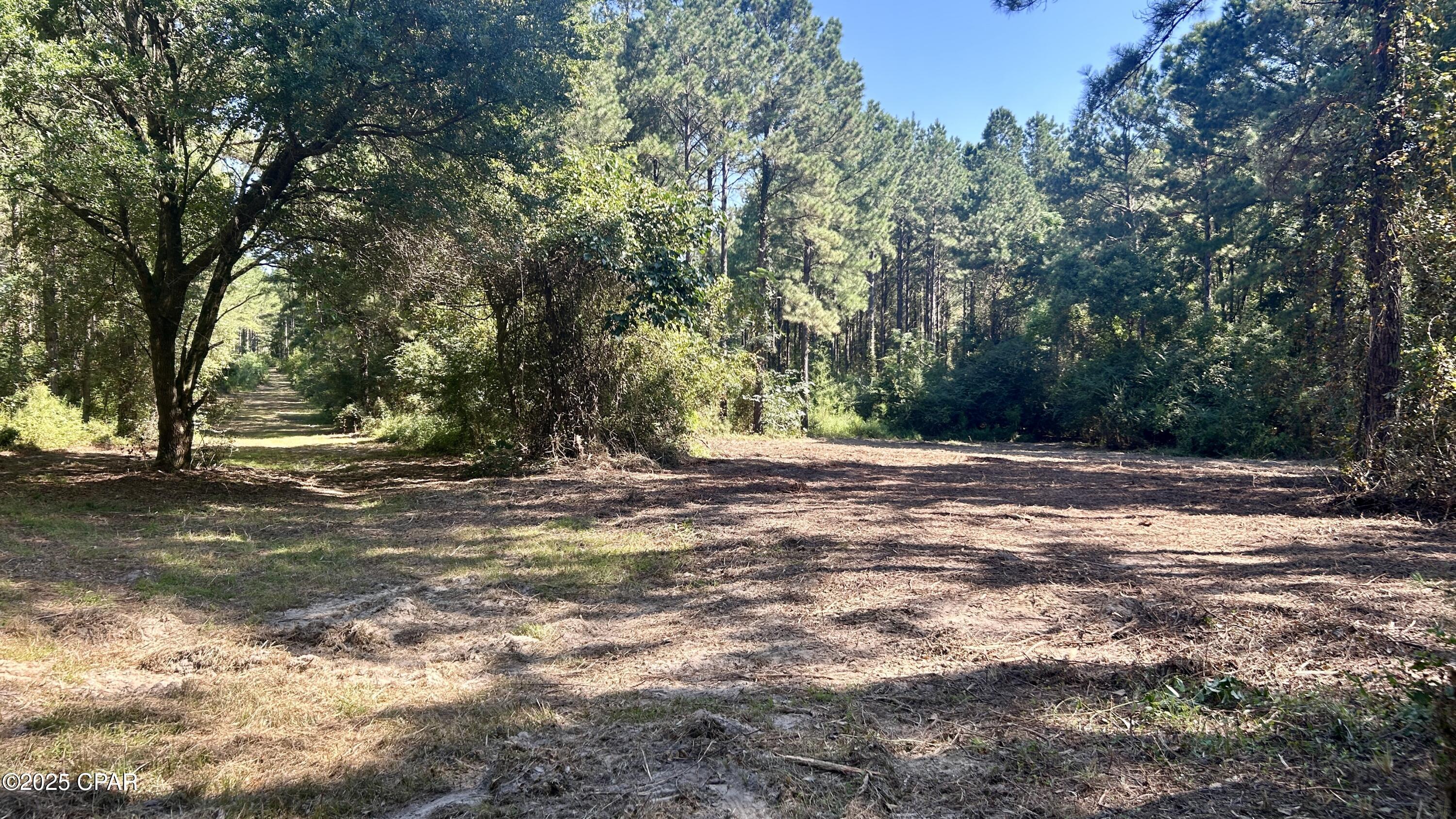 Image 34 For 0 Co 147 Highway