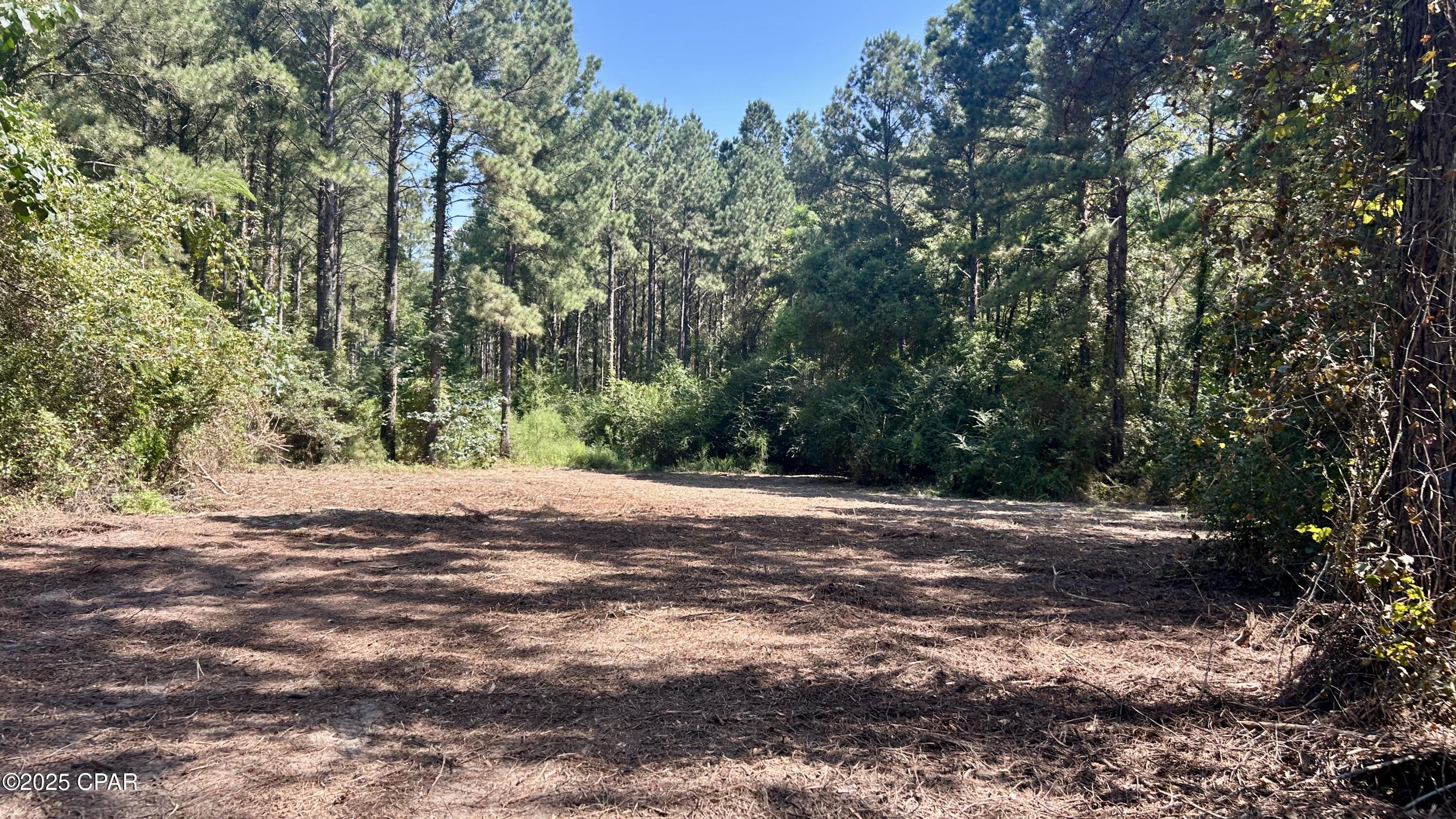 Image 36 For 0 Co 147 Highway