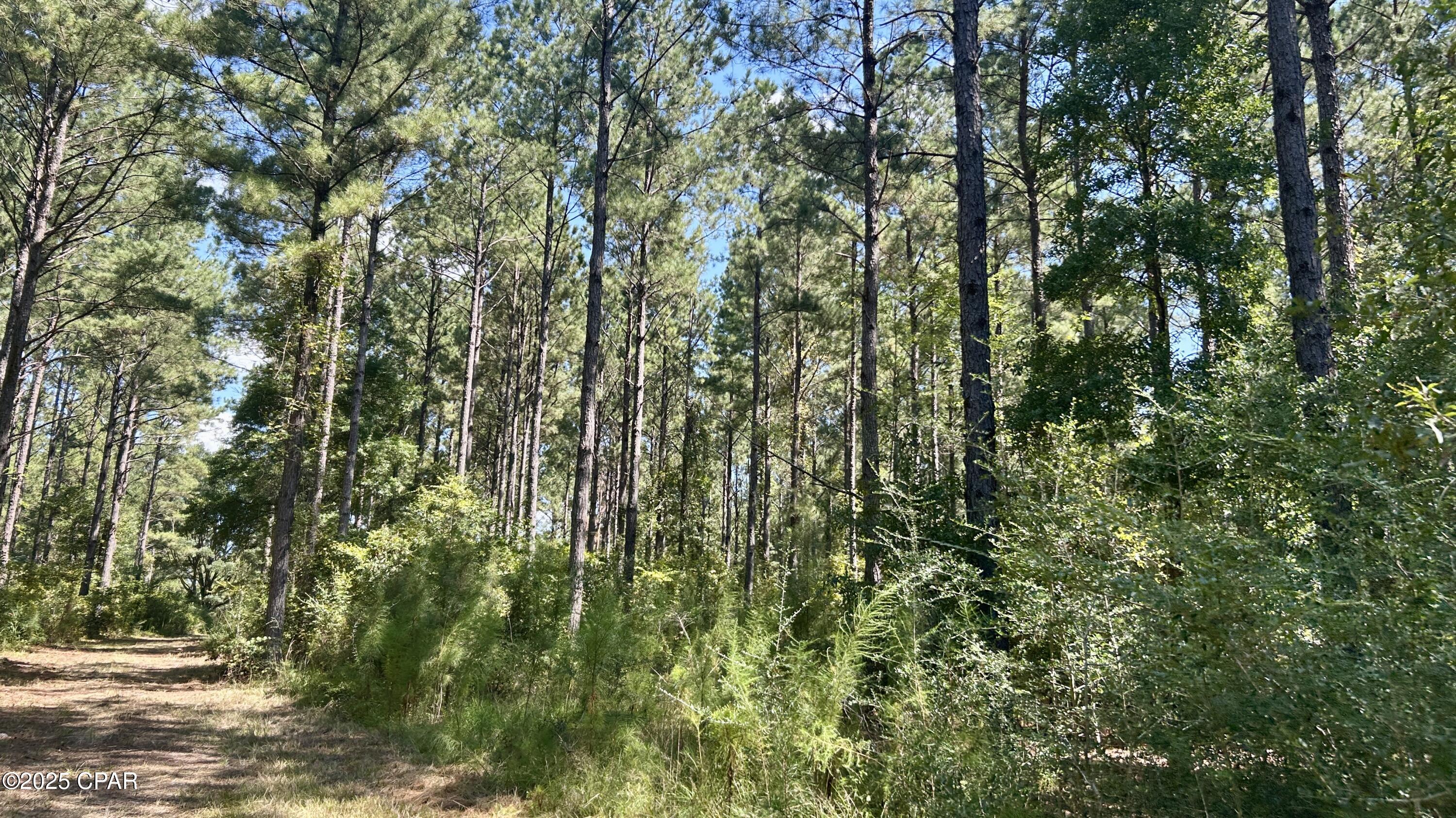 Image 37 For 0 Co 147 Highway