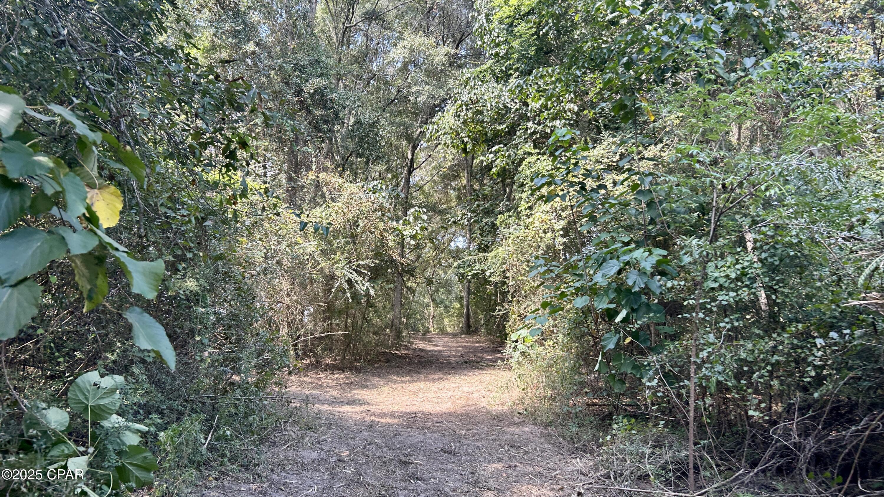 Image 38 For 0 Co 147 Highway