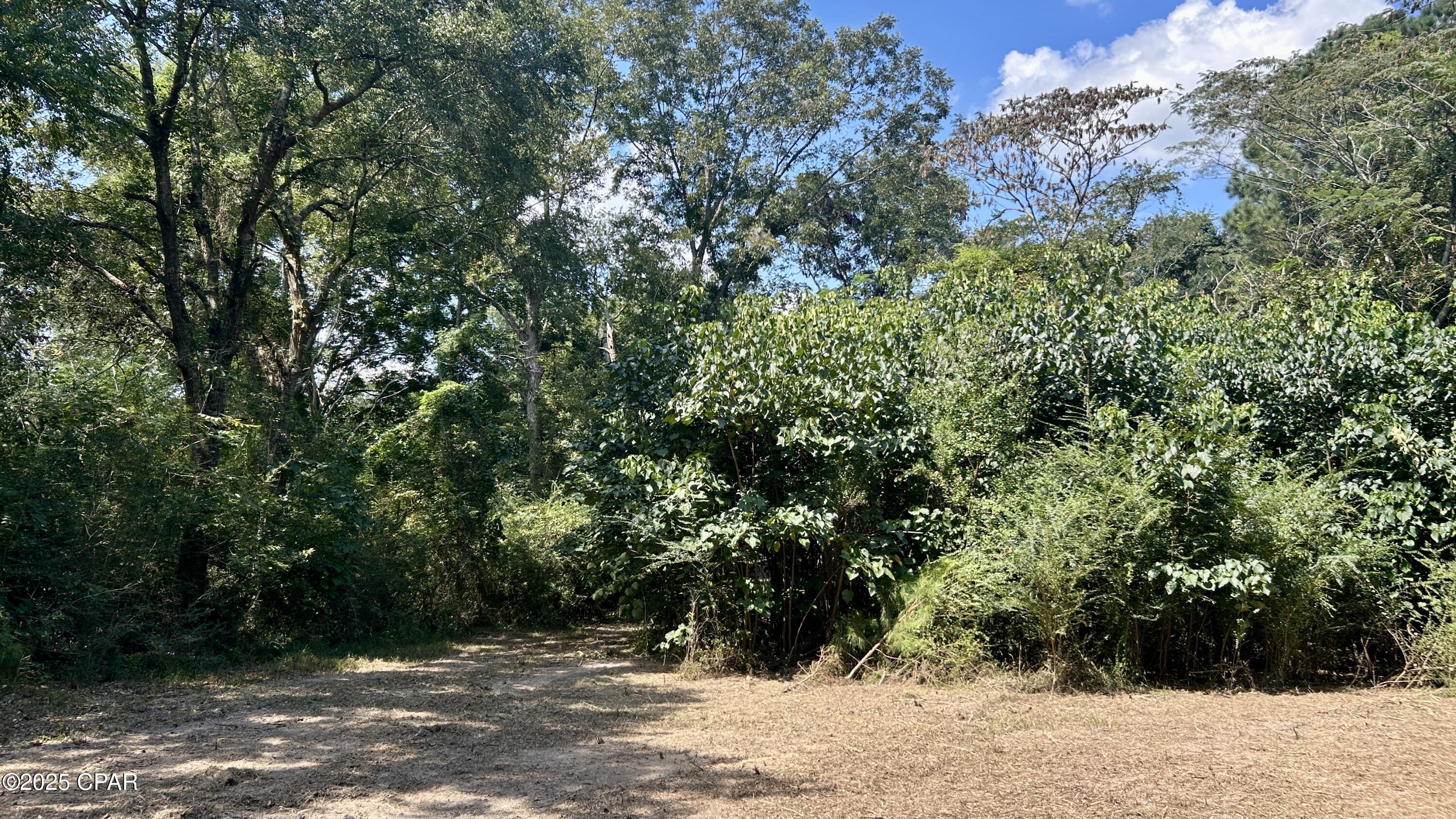 Image 40 For 0 Co 147 Highway