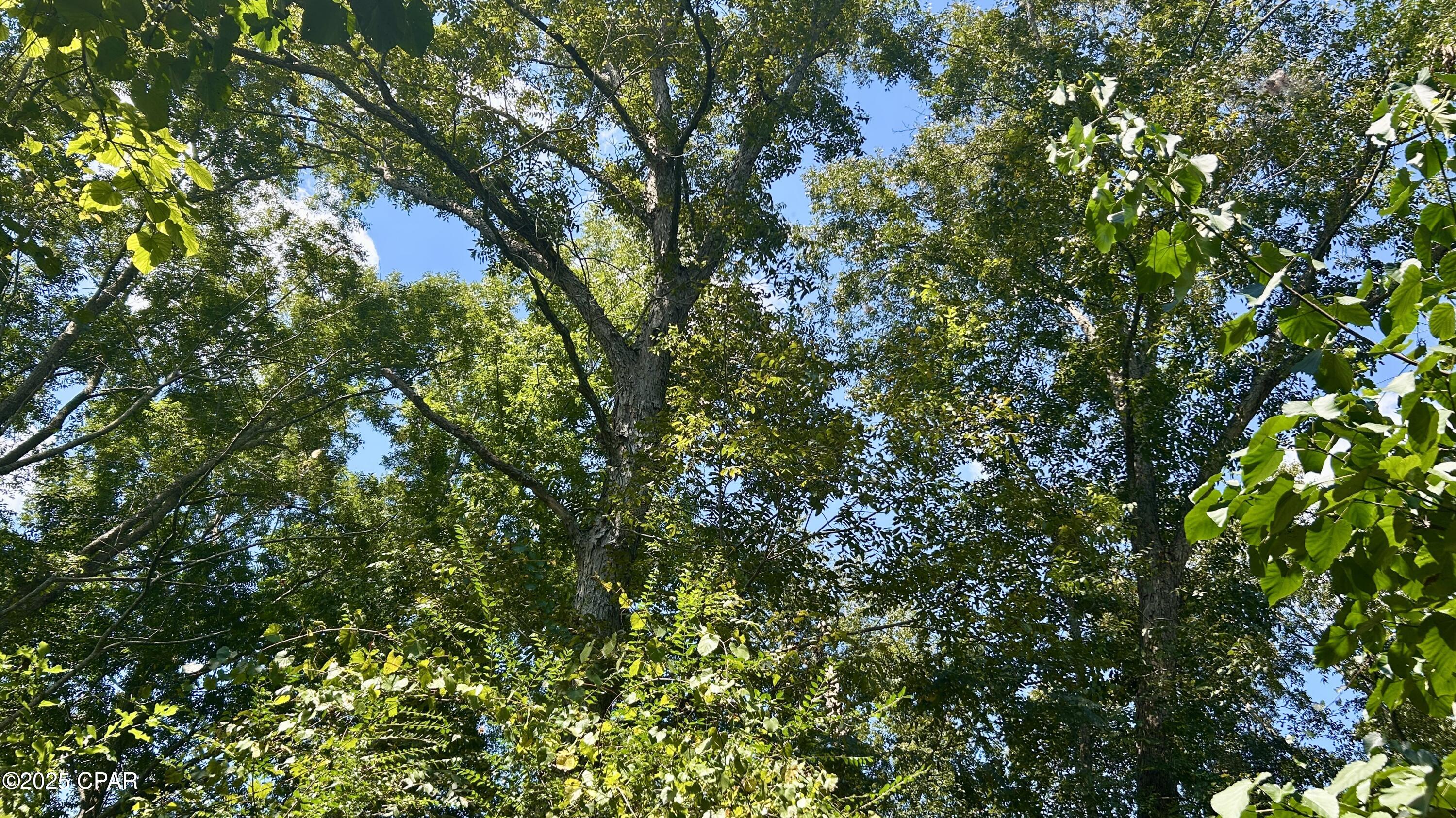 Image 41 For 0 Co 147 Highway