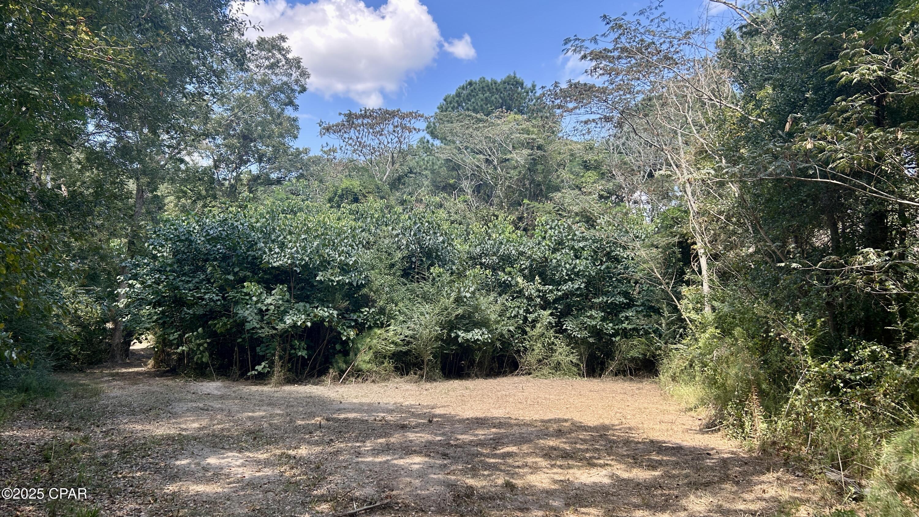 Image 42 For 0 Co 147 Highway