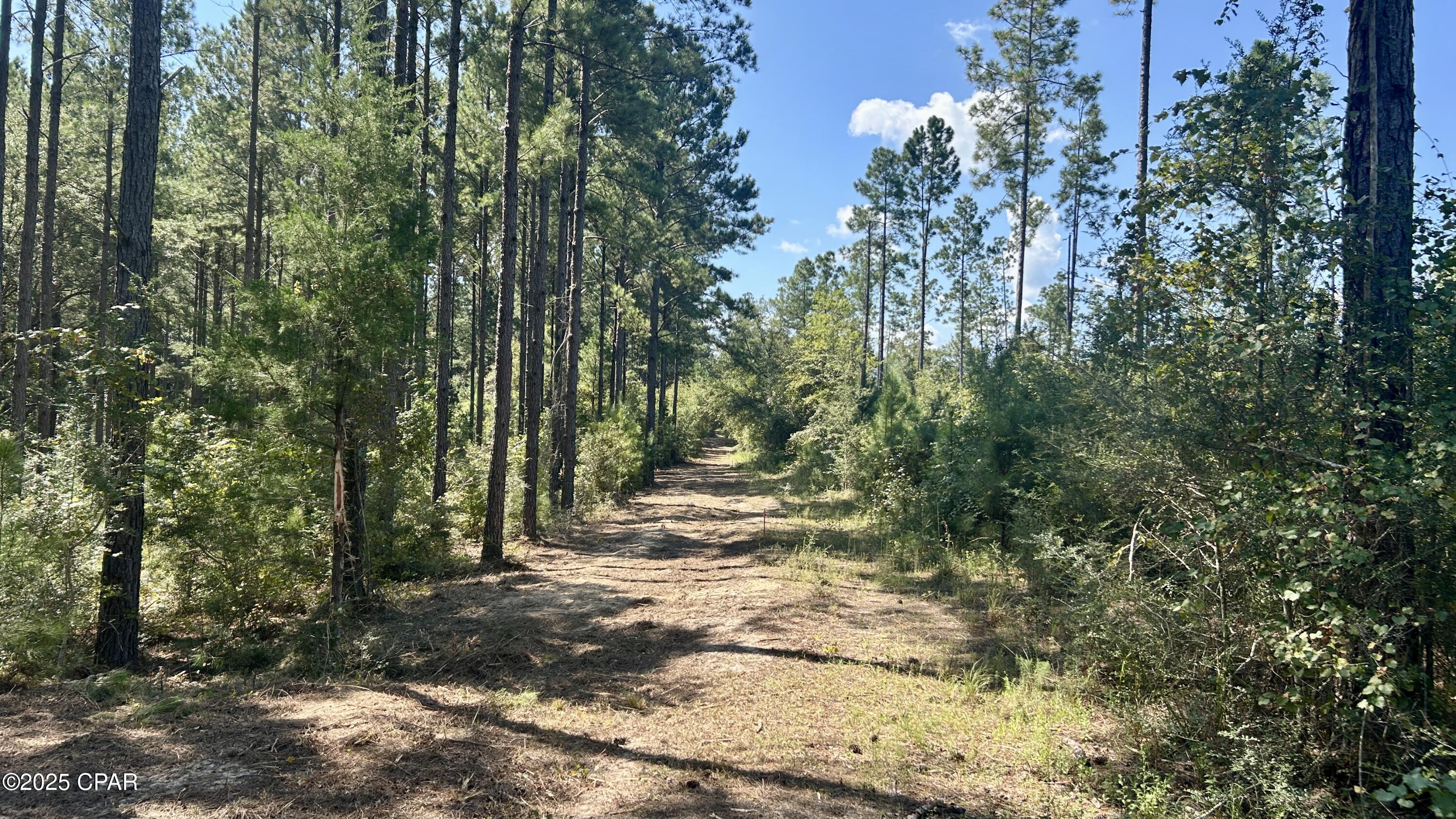 Image 5 For 0 Co 147 Highway