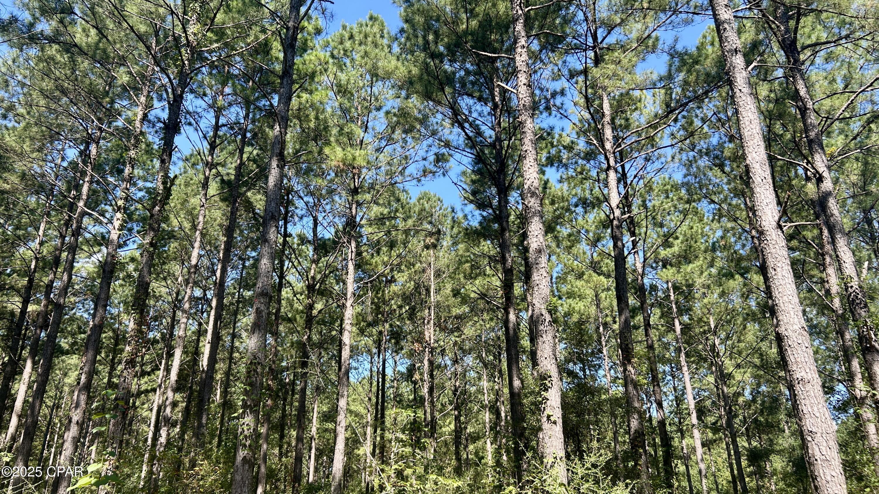 Image 6 For 0 Co 147 Highway