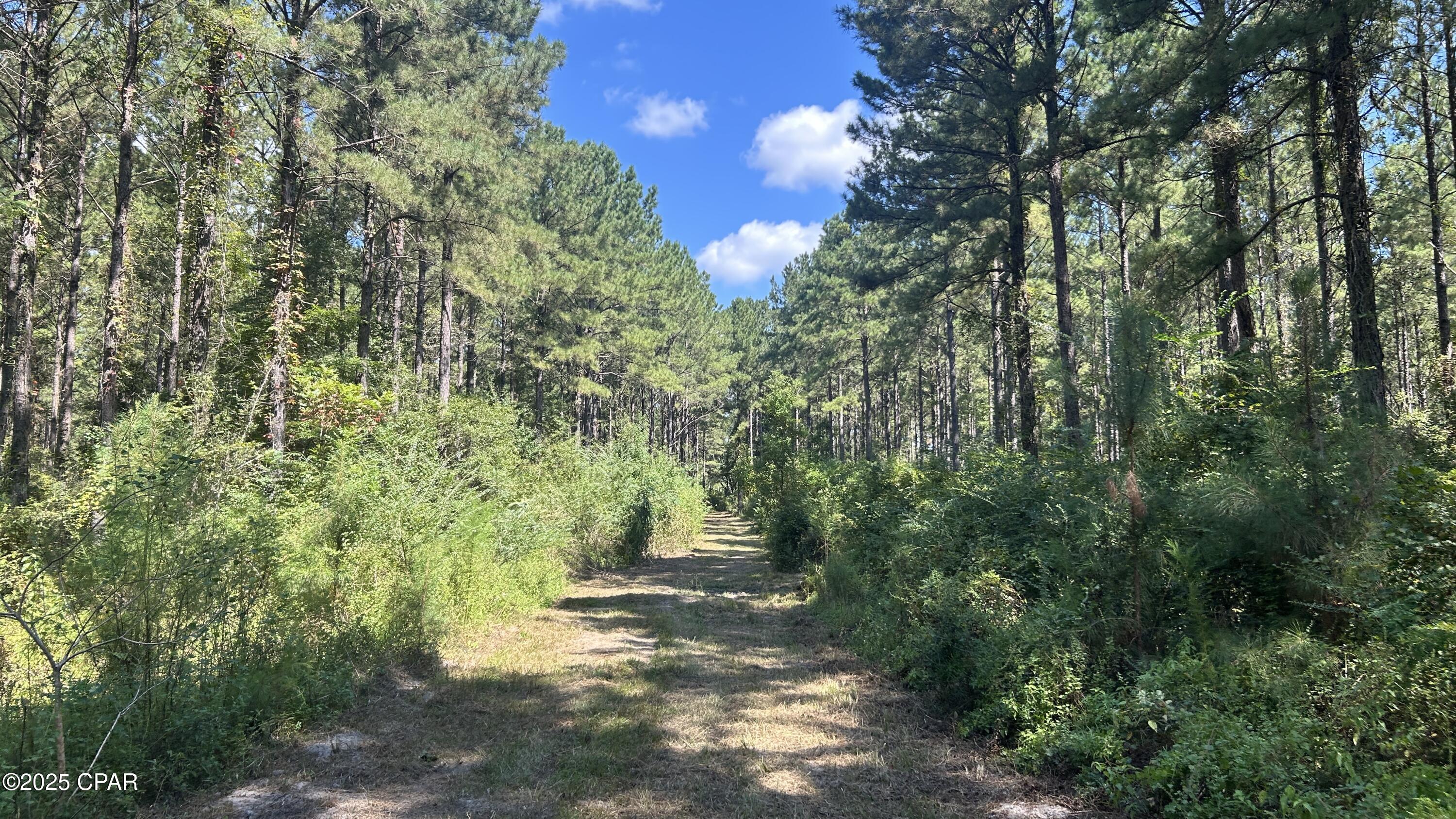 Image 7 For 0 Co 147 Highway