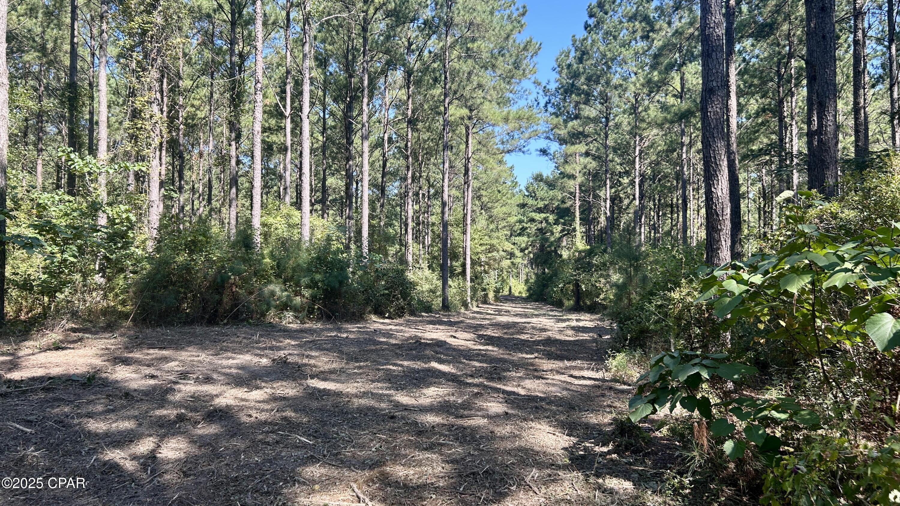 Image 8 For 0 Co 147 Highway