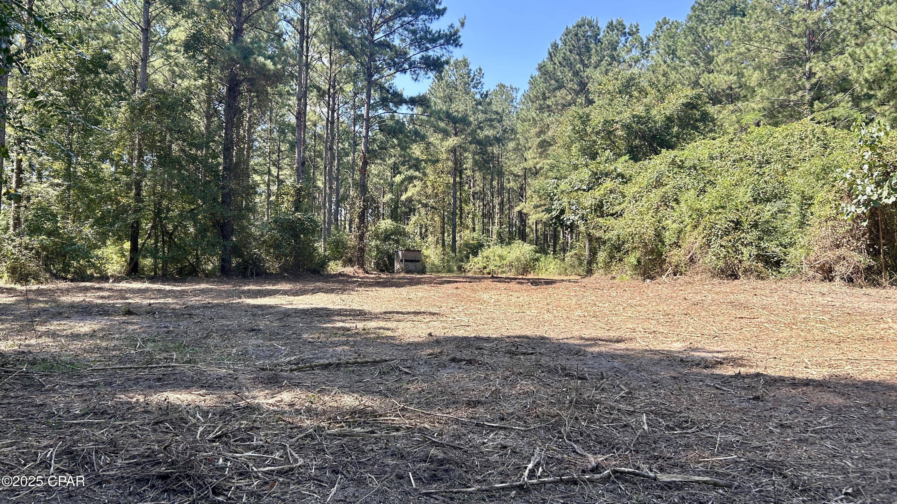 Image 9 For 0 Co 147 Highway