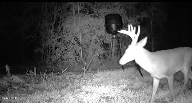 Image 4 For 2445 Sandridge Church Road