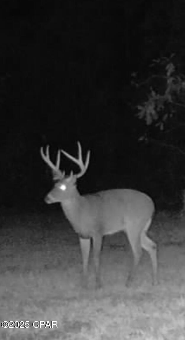 Image 5 For 2445 Sandridge Church Road