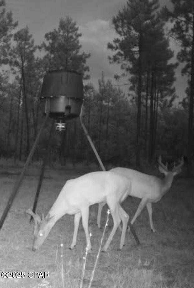 Image 6 For 2445 Sandridge Church Road