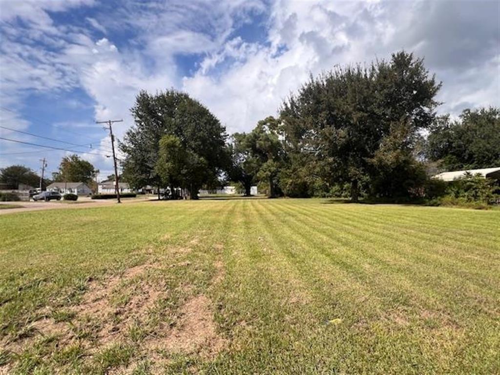 702 Alamo Street — photo 3
