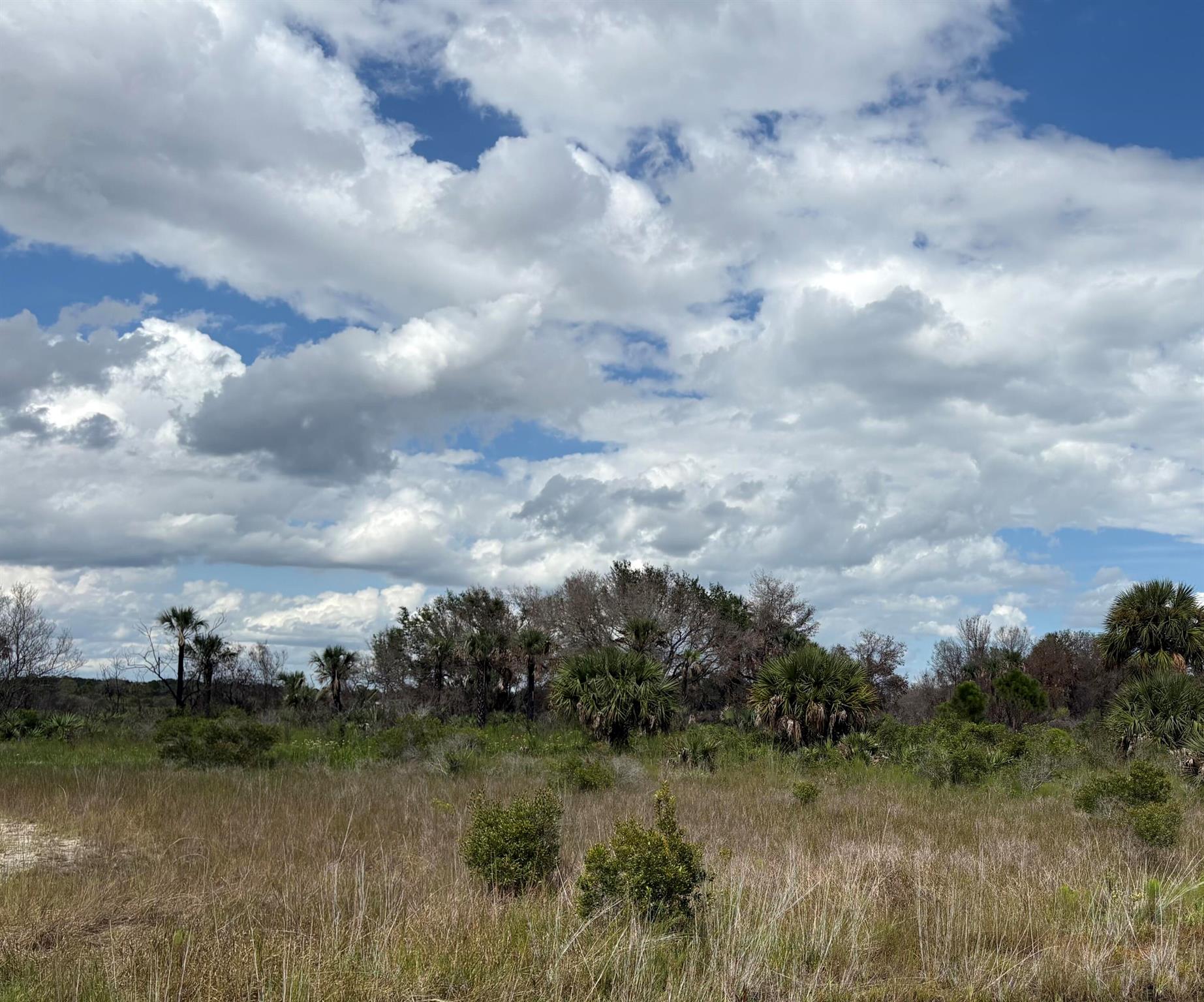 Homes for sale in Okeechobee, FL | 17275 Nw 308th Street, Okeechobee, FL 34974 | MLS# R11126282