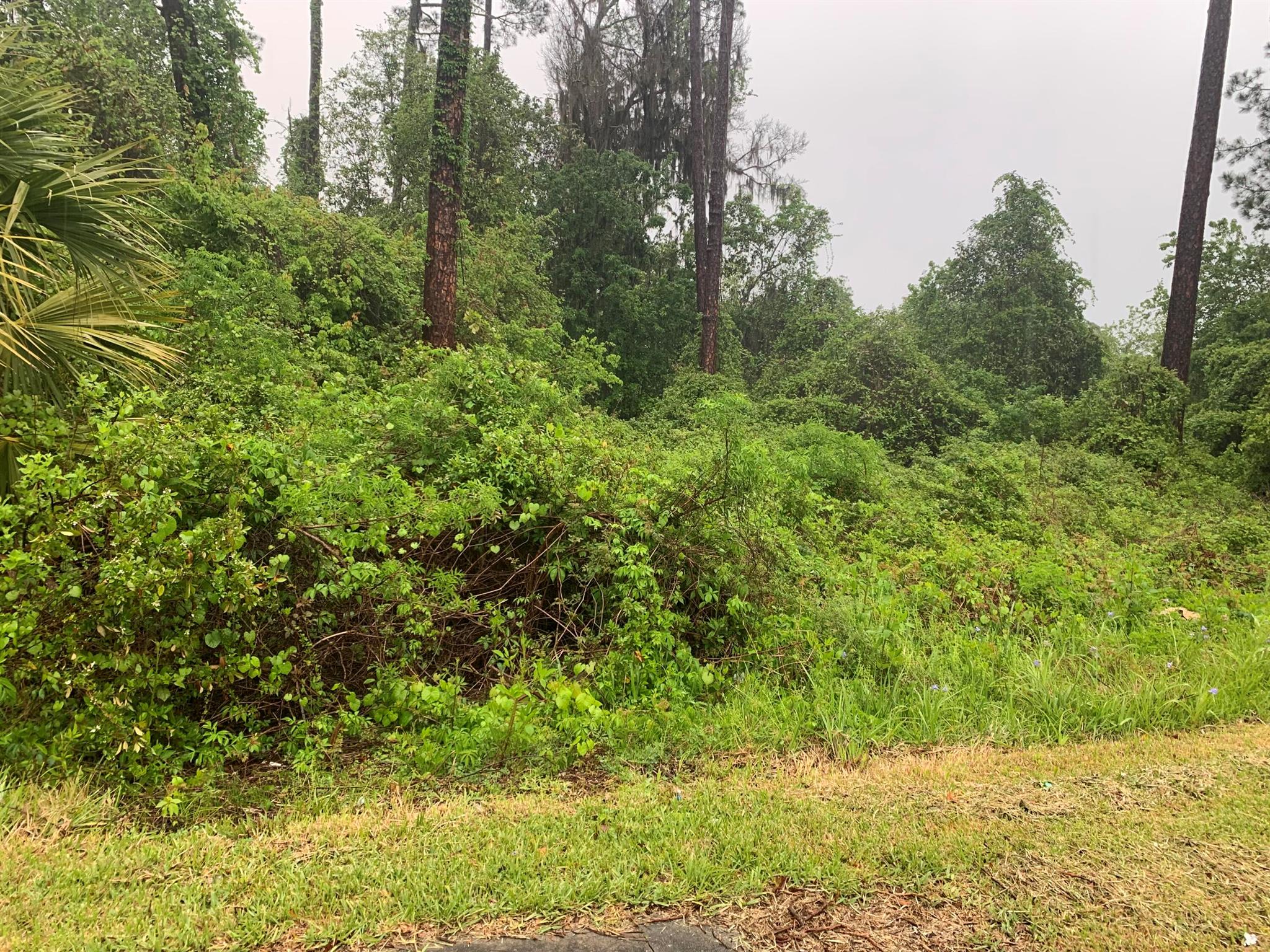 Homes for sale in Gainesville, FL | 0 Se 69th Avenue, Gainesville, FL 32641 | MLS# R11126340