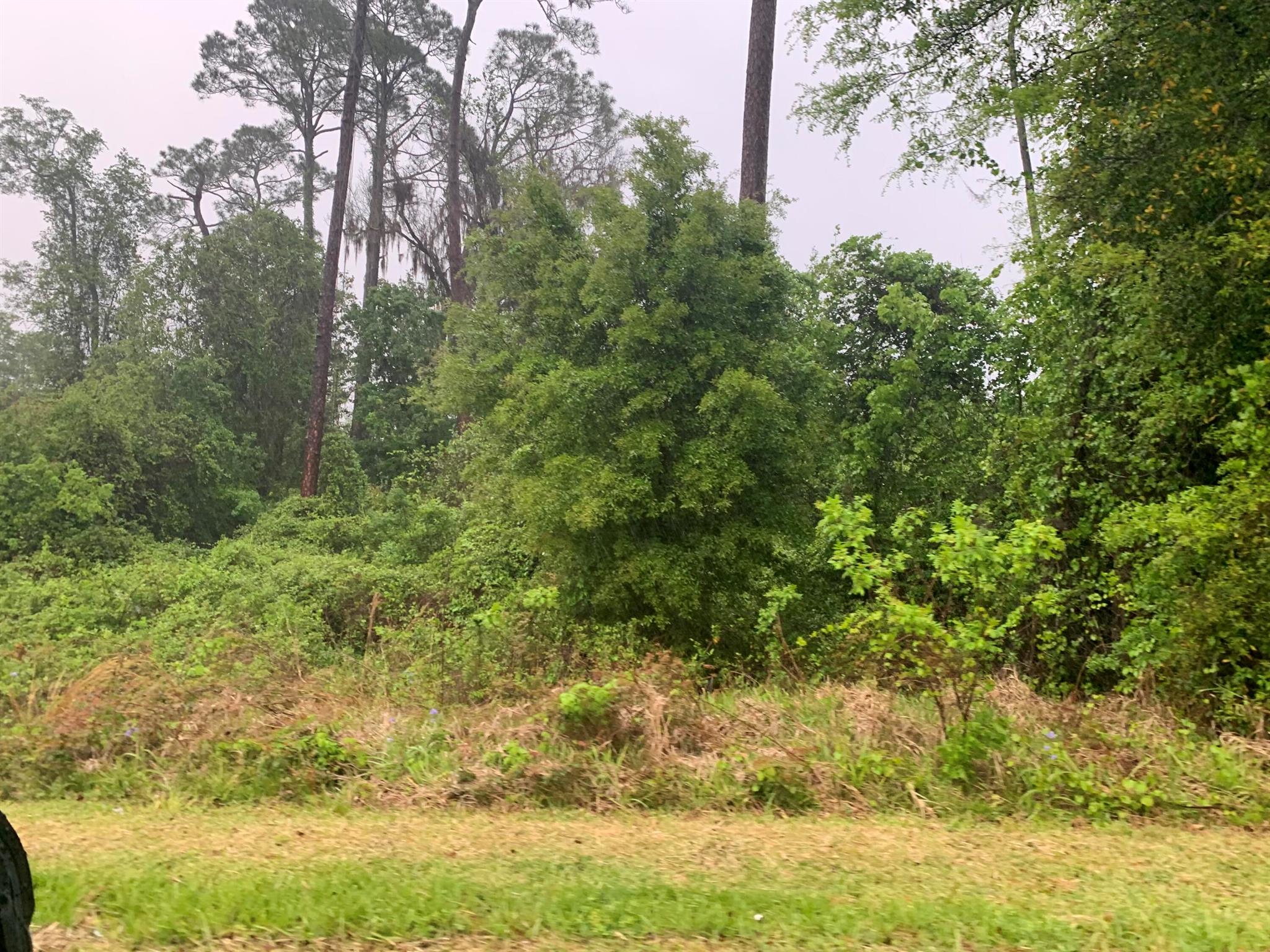 Homes for sale in Gainesville, FL | 0 Se 69th Avenue, Gainesville, FL 32641 | MLS# R11126340