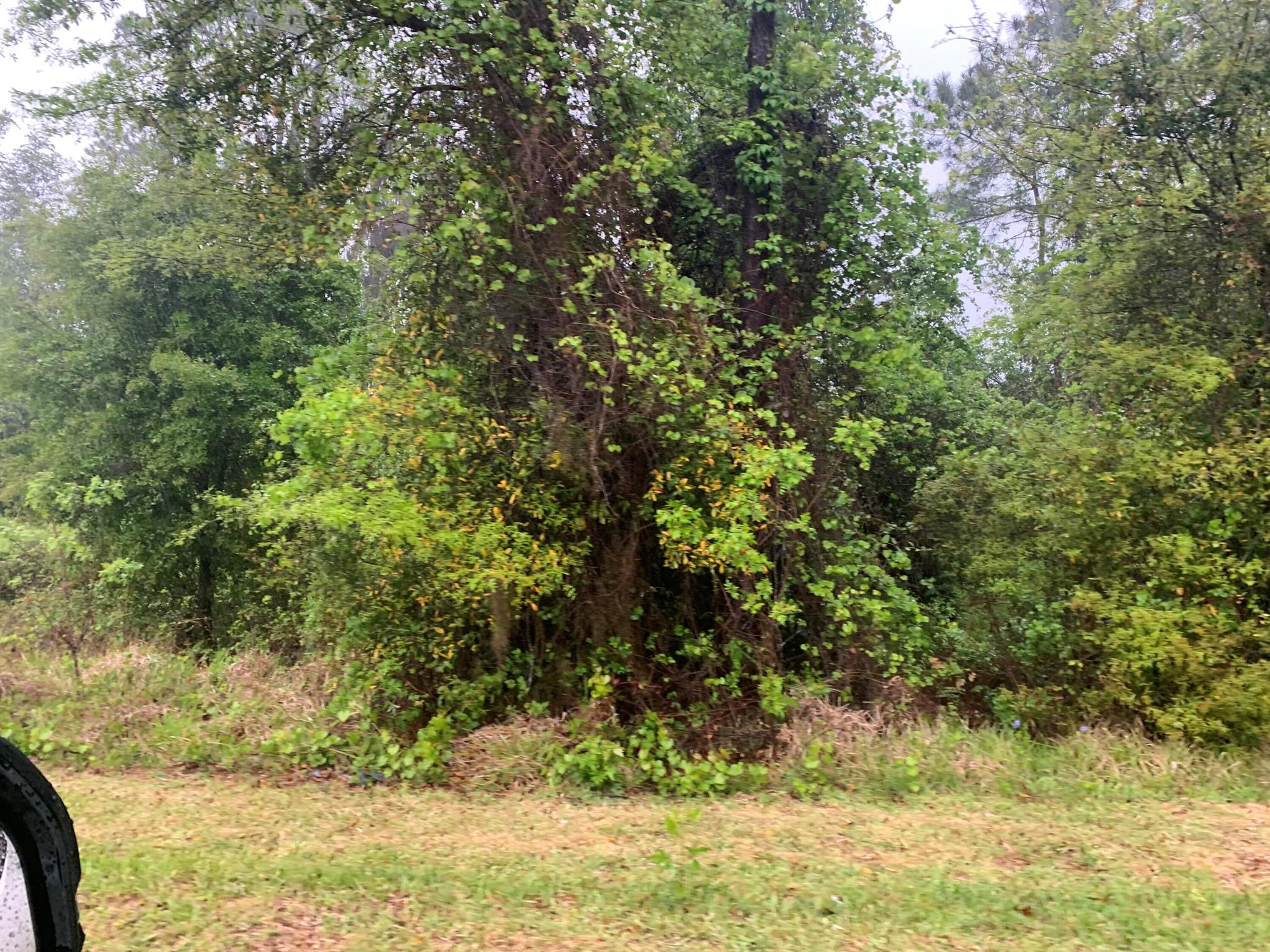 Homes for sale in Gainesville, FL | 0 Se 69Th Avenue, Gainesville, FL 32641 | MLS# R11126340