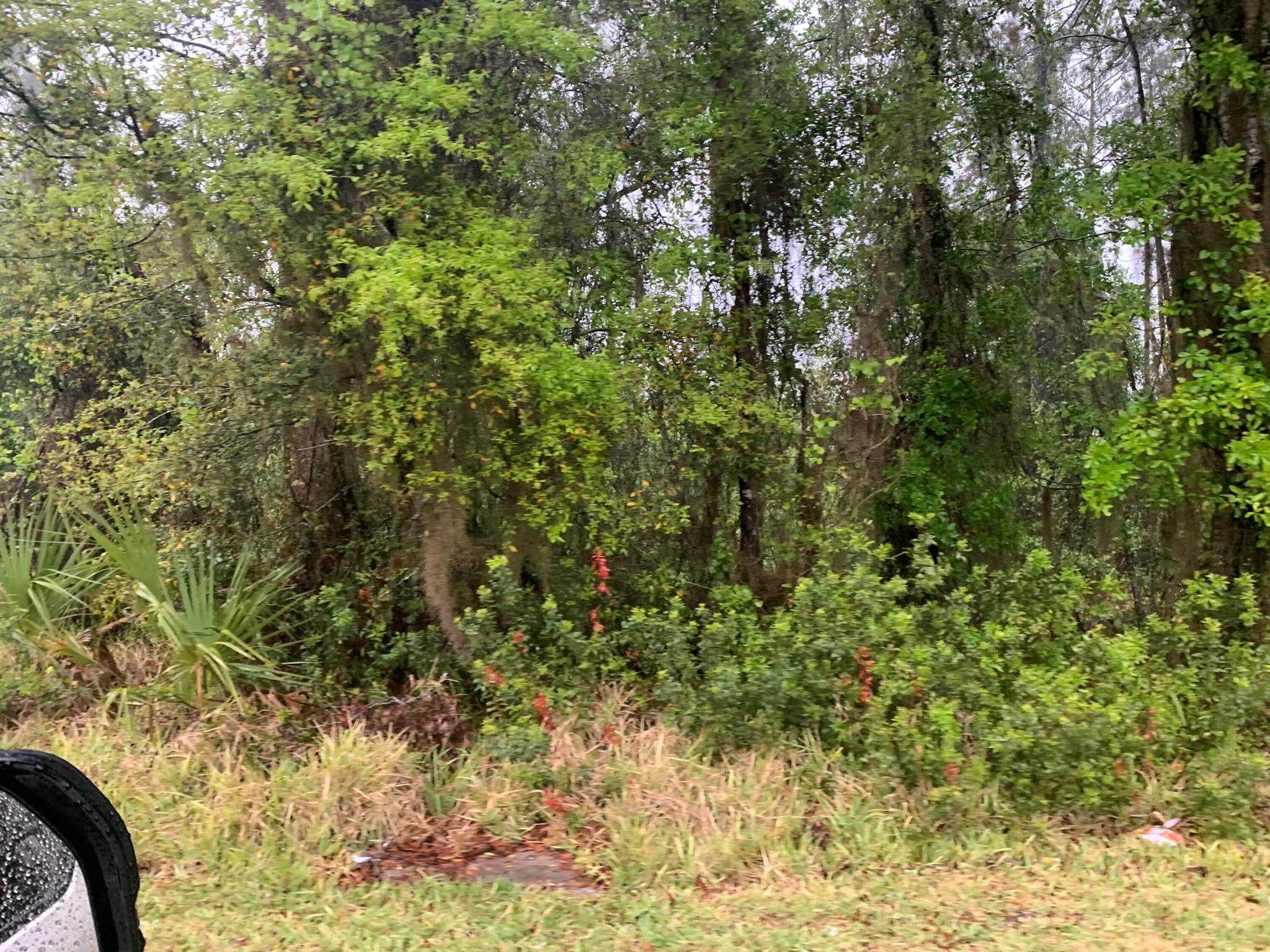 Homes for sale in Gainesville, FL | 0 Se 69Th Avenue, Gainesville, FL 32641 | MLS# R11126340