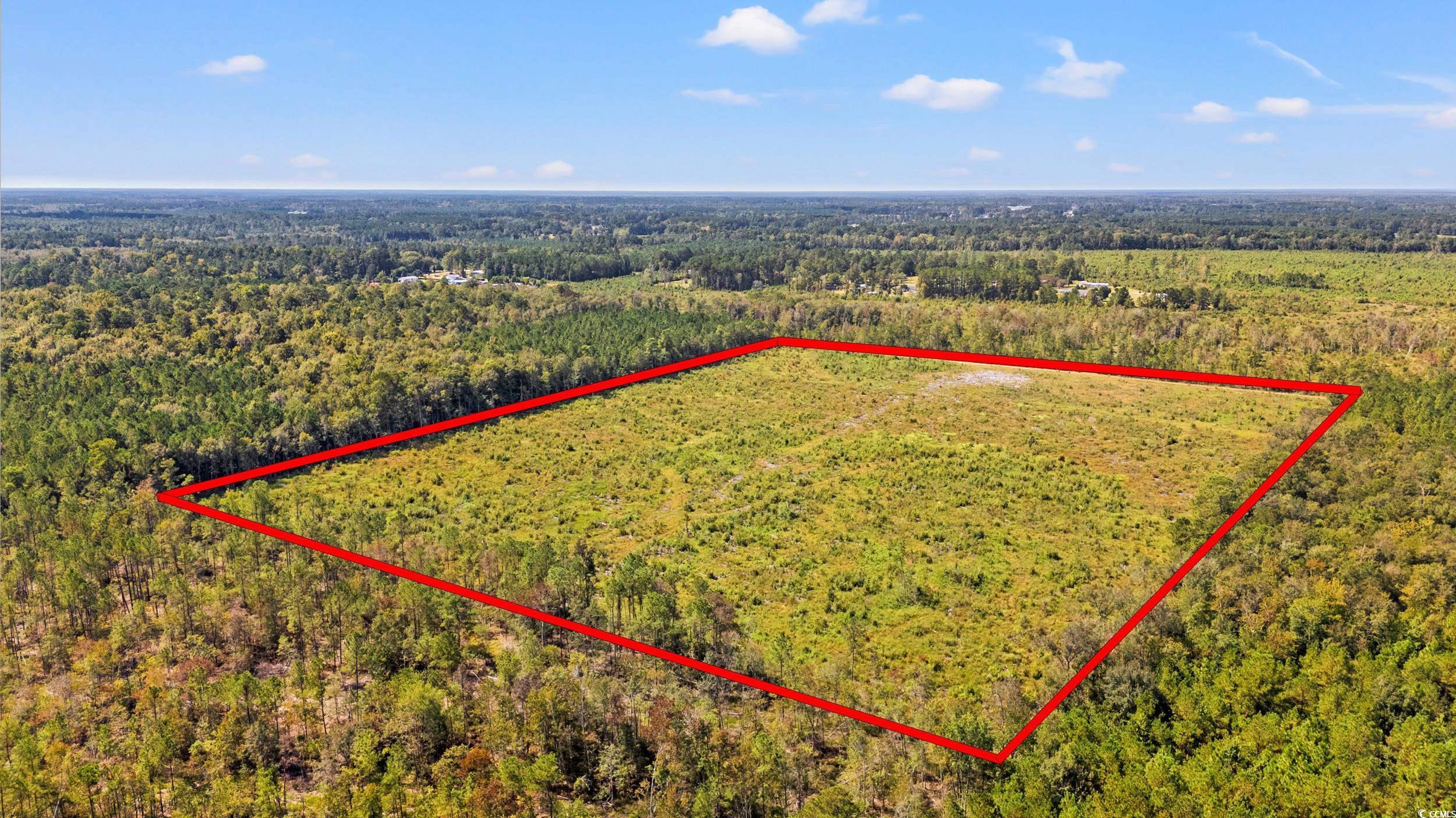 TBD Kates Bay Hwy. Conway, SC 29527